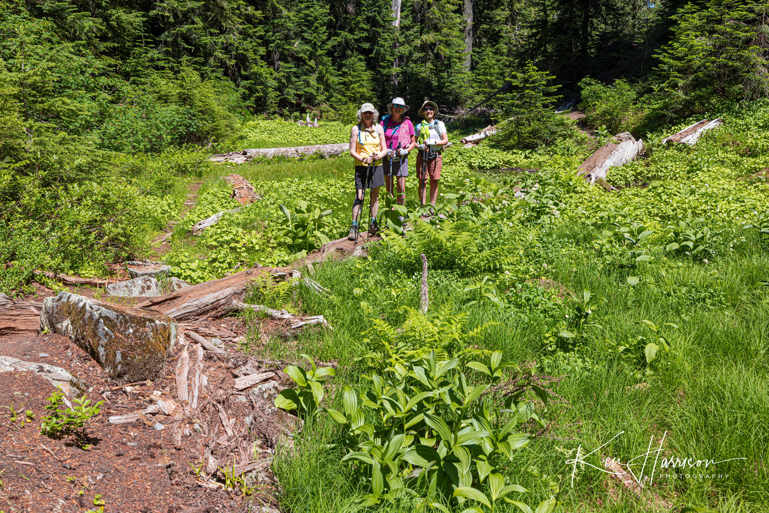 watsonlakes2023-19.jpg