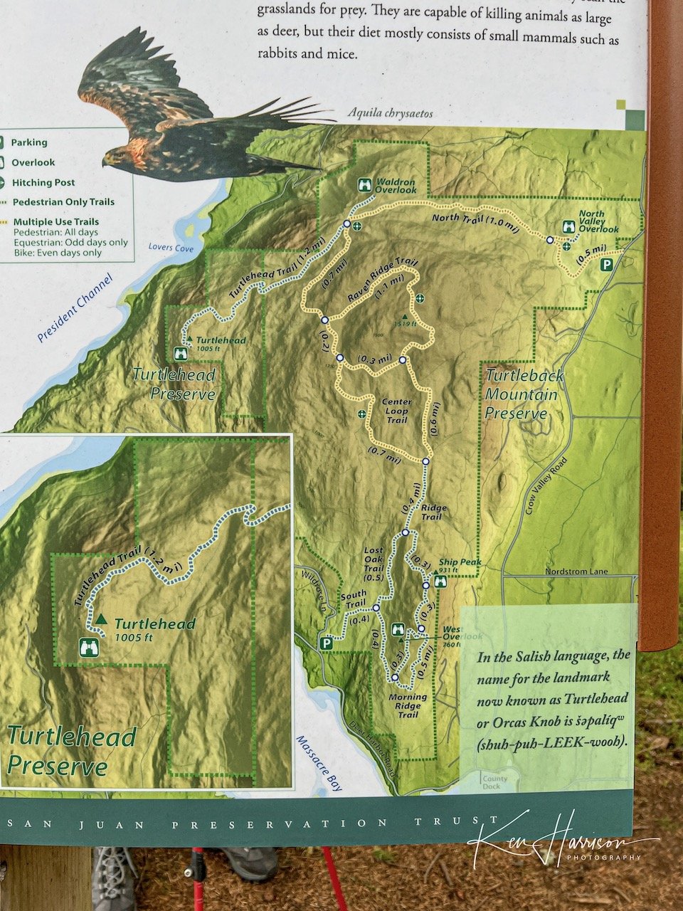 orcas2022- - 35.jpeg