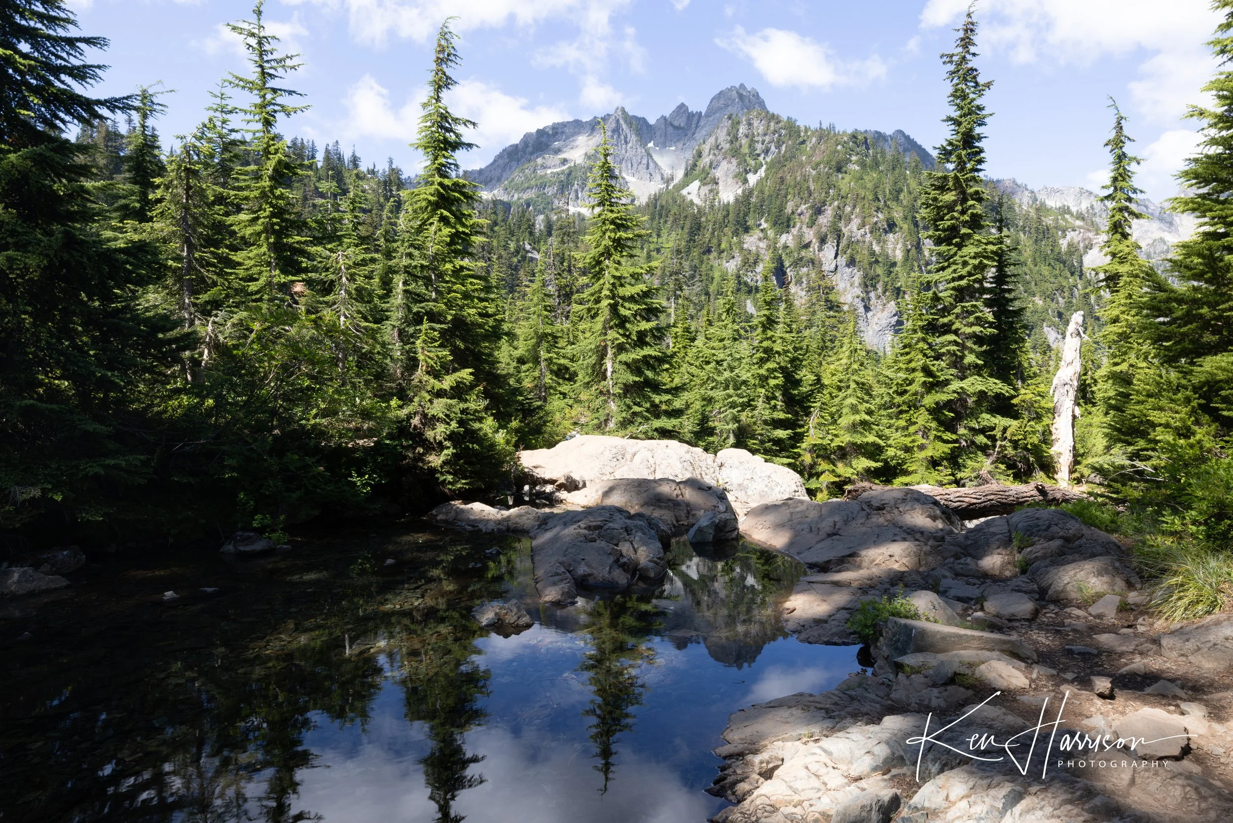 snowlake-26.jpg