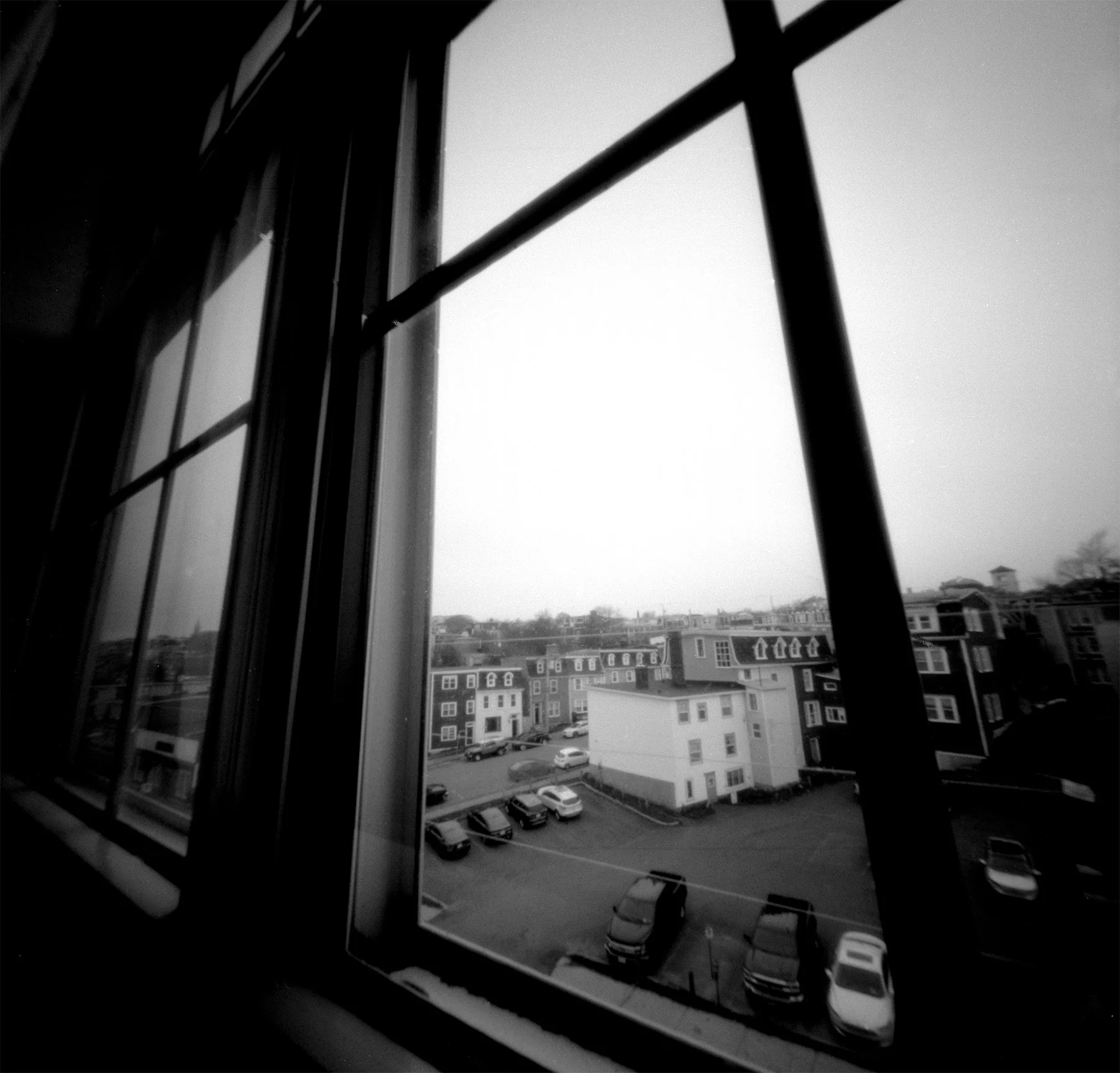 Newfoundland Window