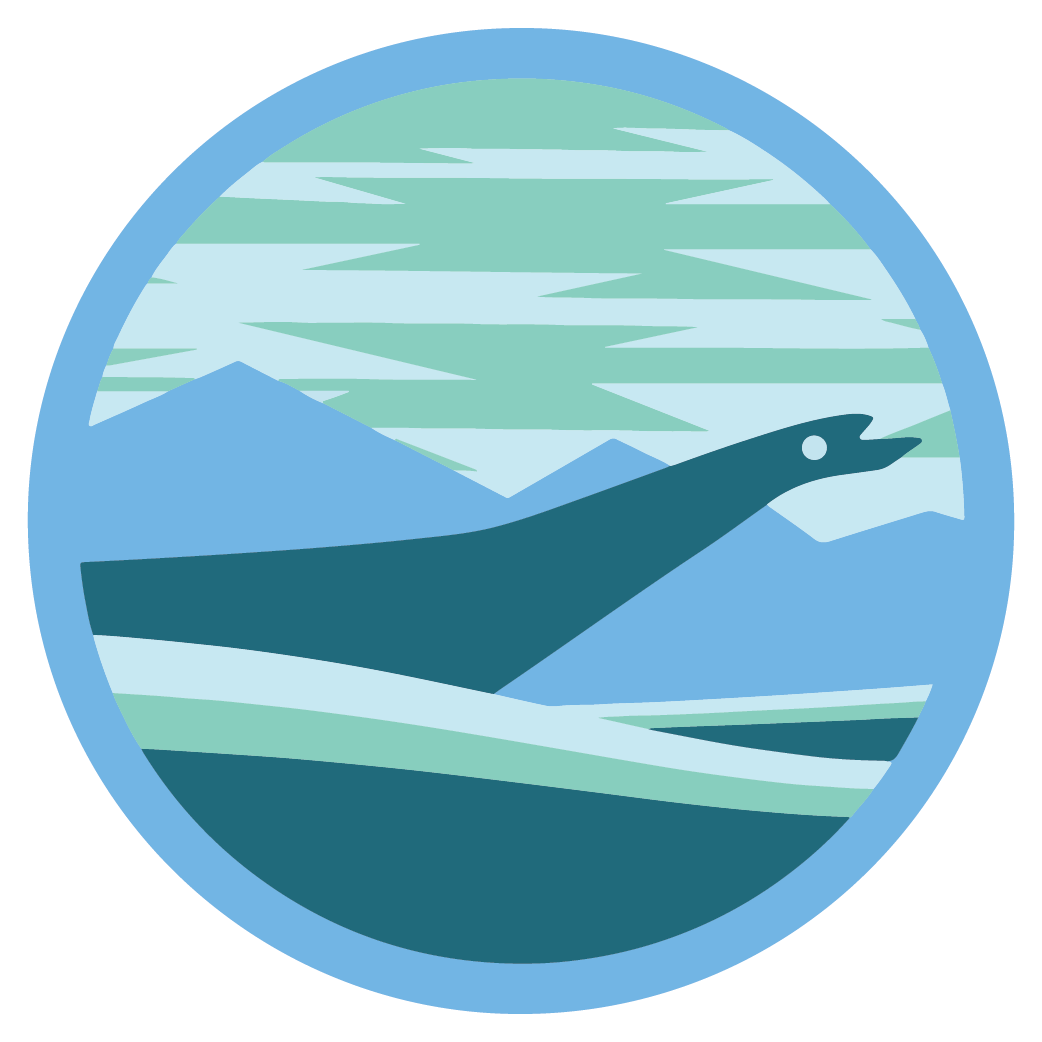 Year of the Salish Sea