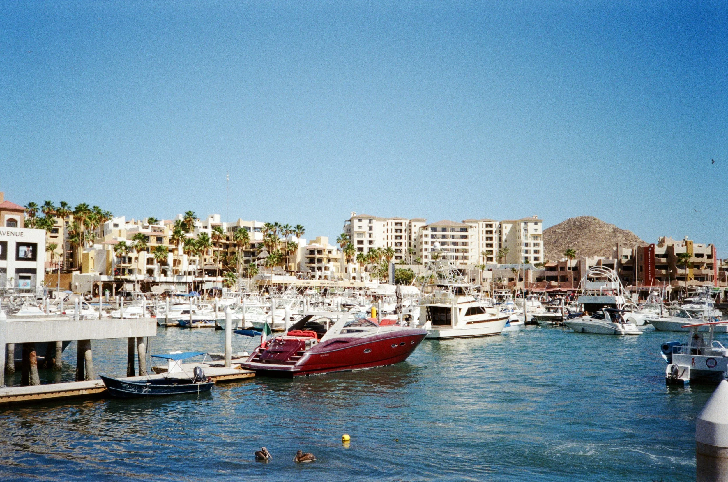 15.jpg