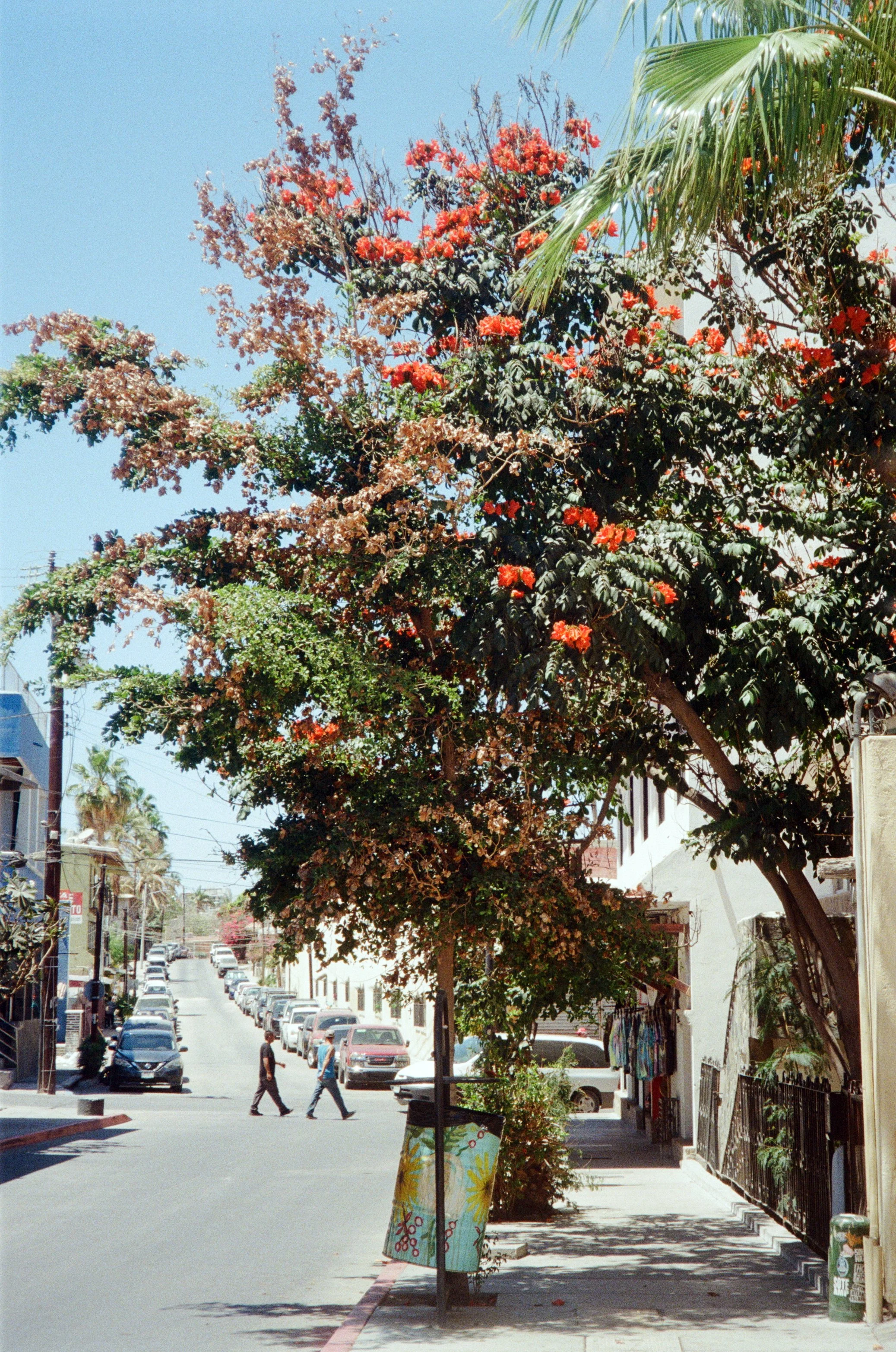 04.jpg