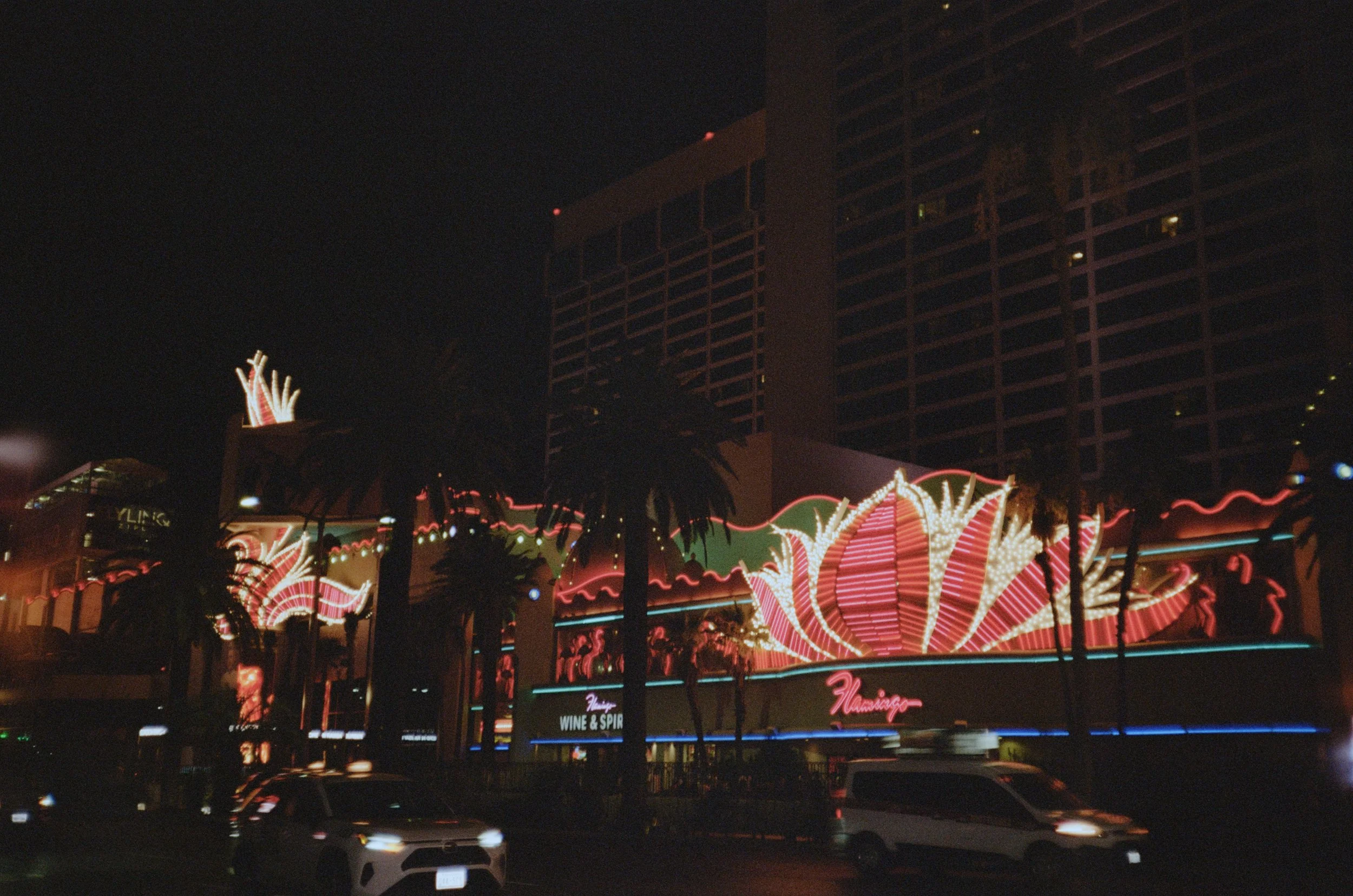 flamingo strips, las vegas nevada, '2025, 35mm analog