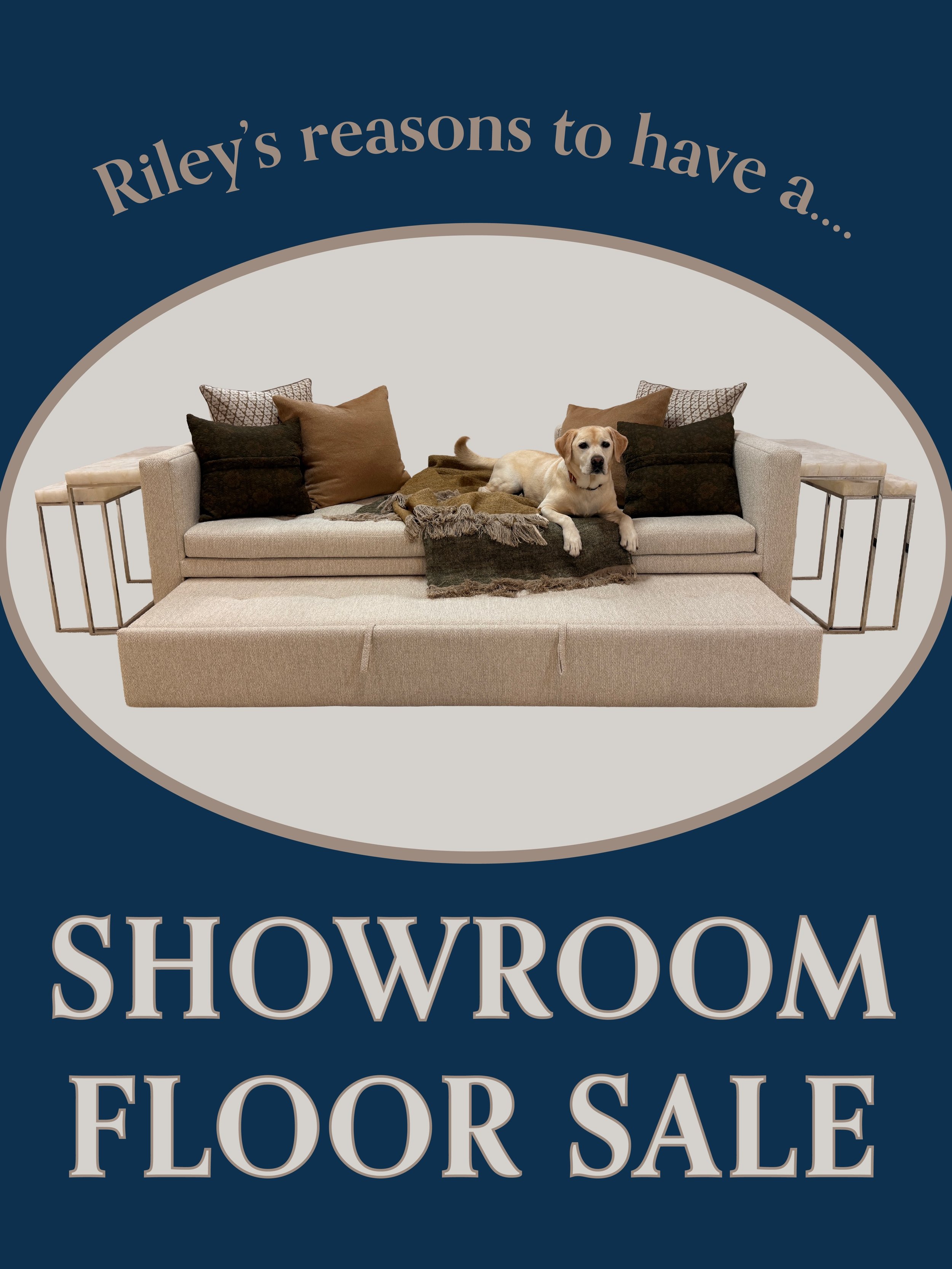Did Riley tell you about our Showroom Floor Sale? 🐶🏷️ Now through the end of May. Come shop our showroom floor! #detailsbyDG