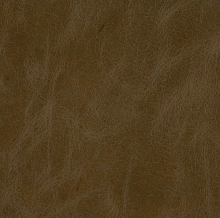 PE9055-15 - CAPRI WILLER.jpg