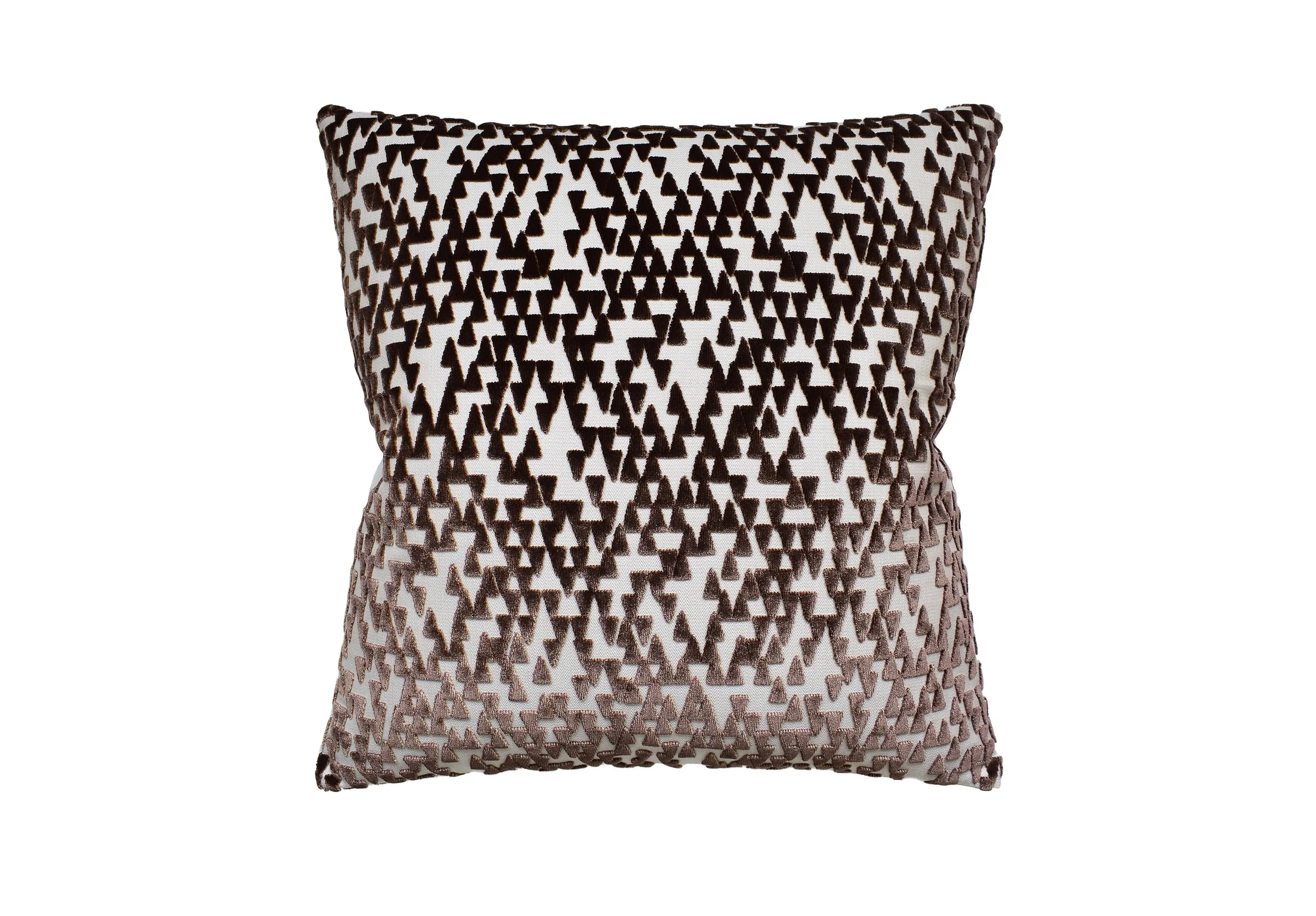 133-2010 Points of View-Grizzly final.jpg