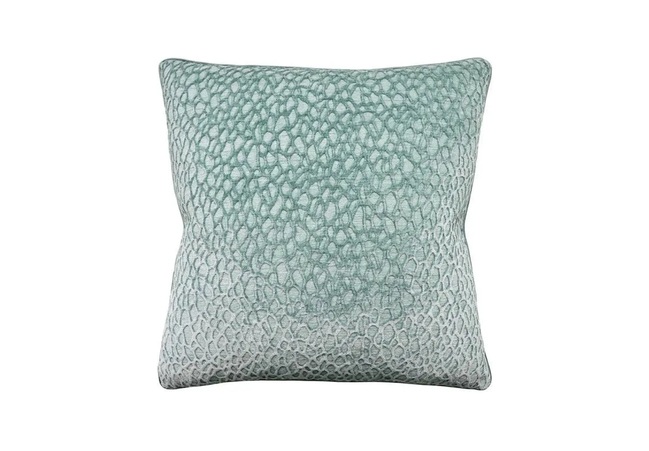 133-2247 Hayes-Spring final.jpg