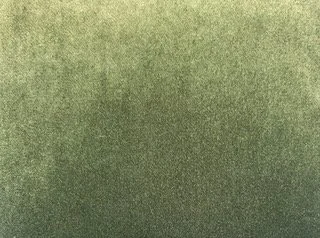 Green velvet fabric.jpeg