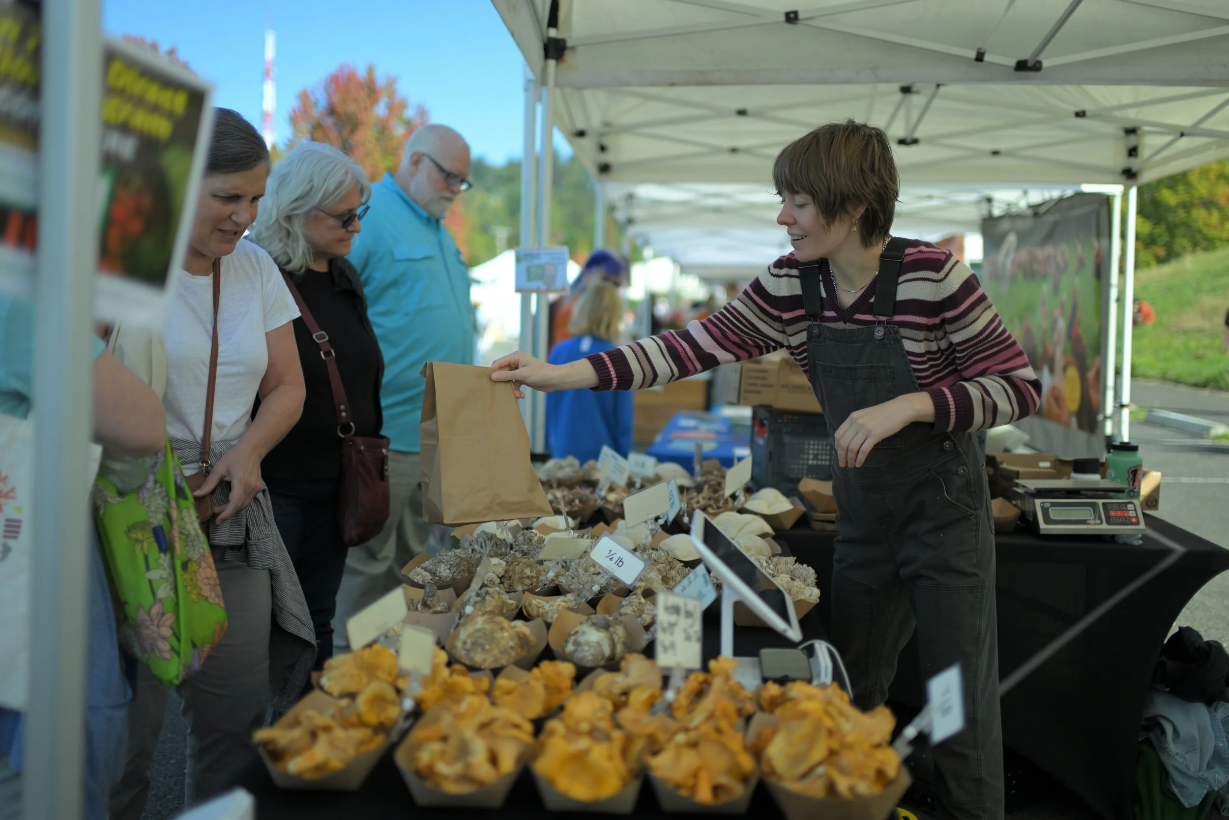 Boosting SNAP & DUFB Sales by Enhancing Shopper Experience