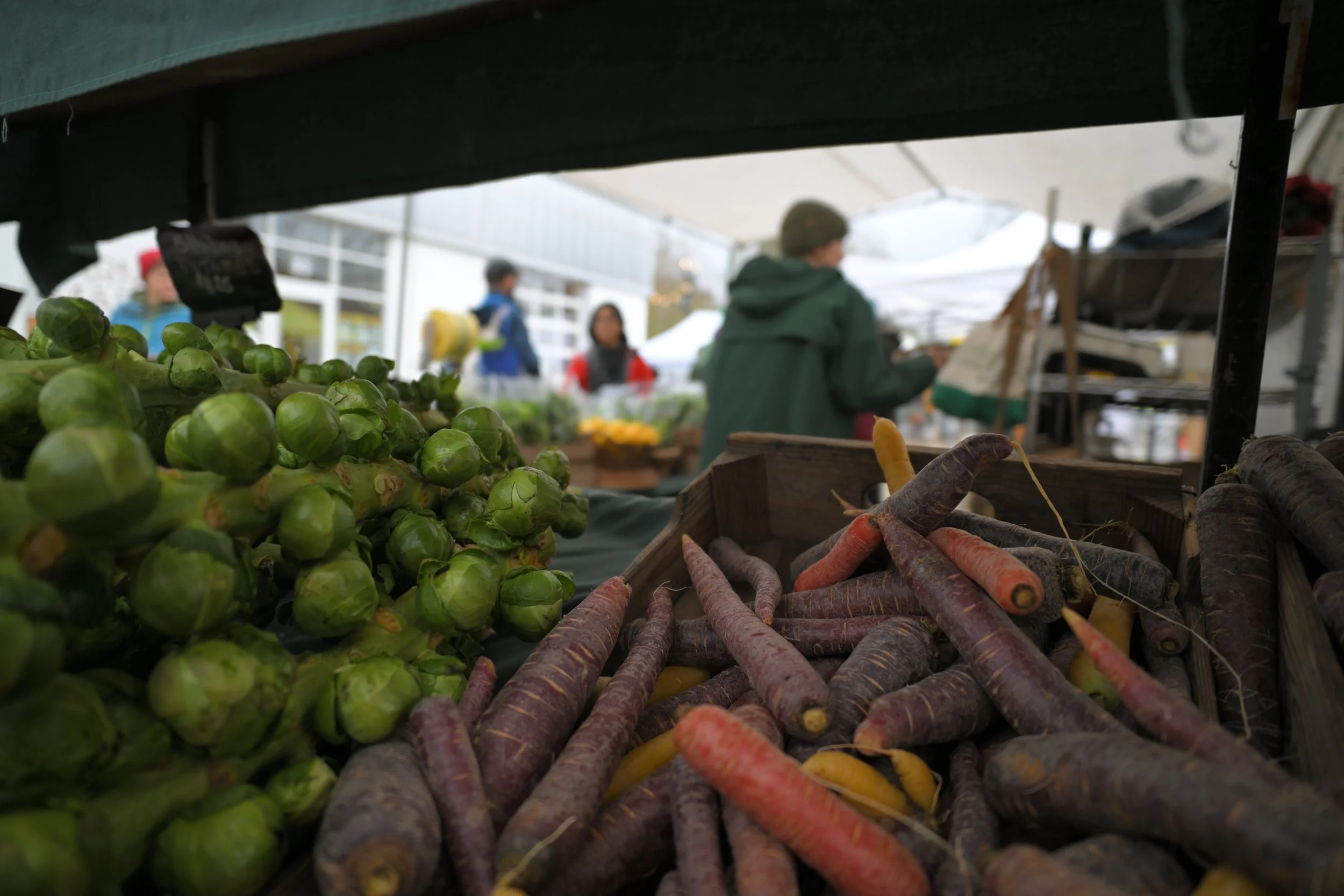 March Peer Learning Circle