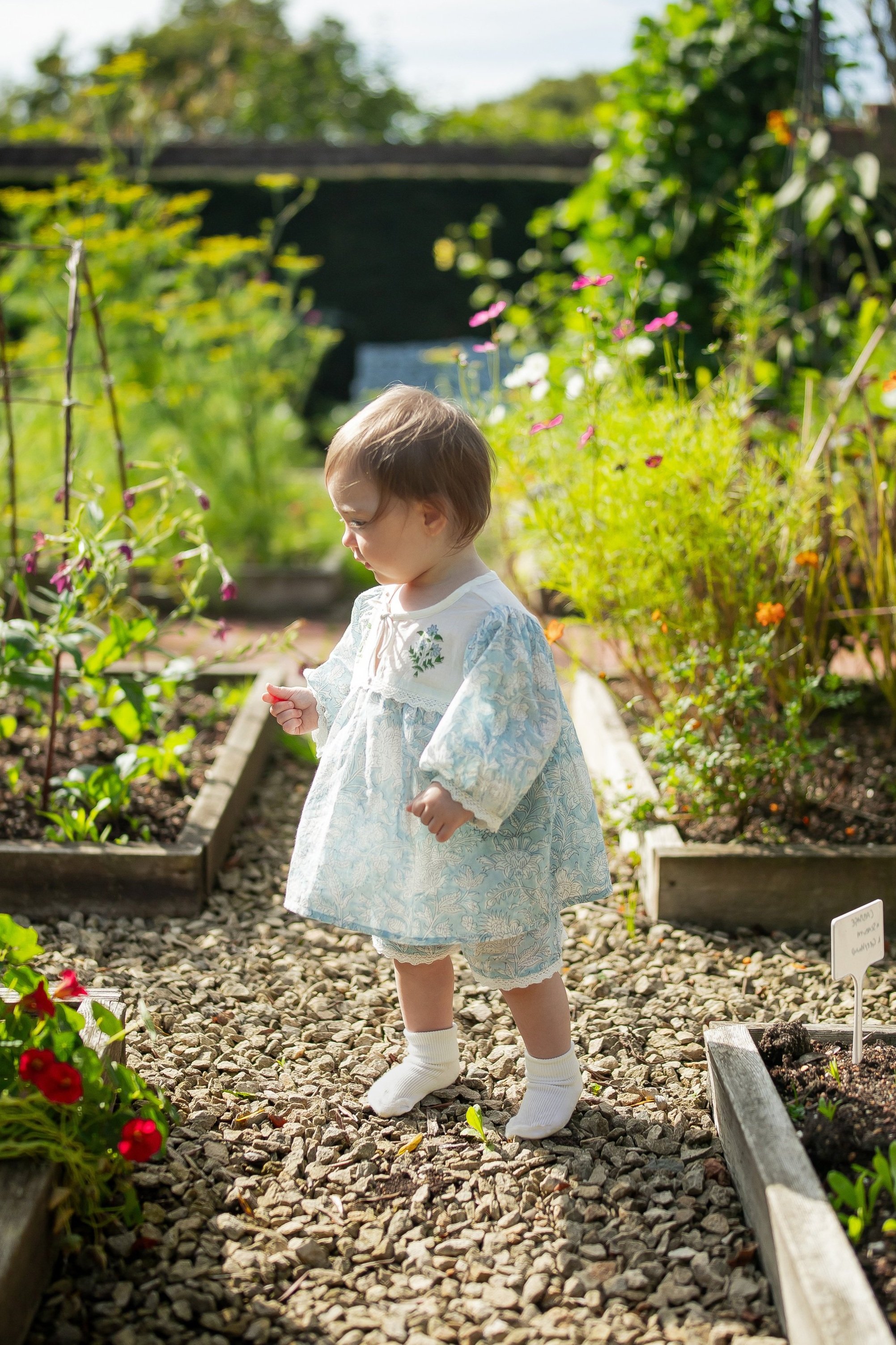 IMG_0078-2+-+edit+2.jpg