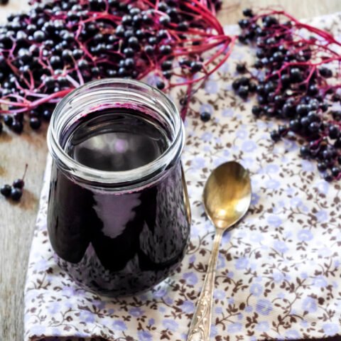 elderberry-syrup-square-image-480x480.jpeg