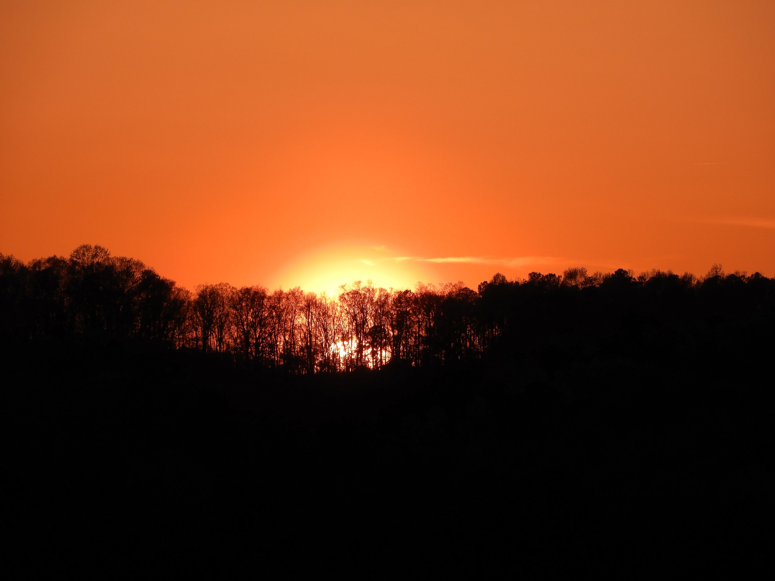 DSCN3320.JPG