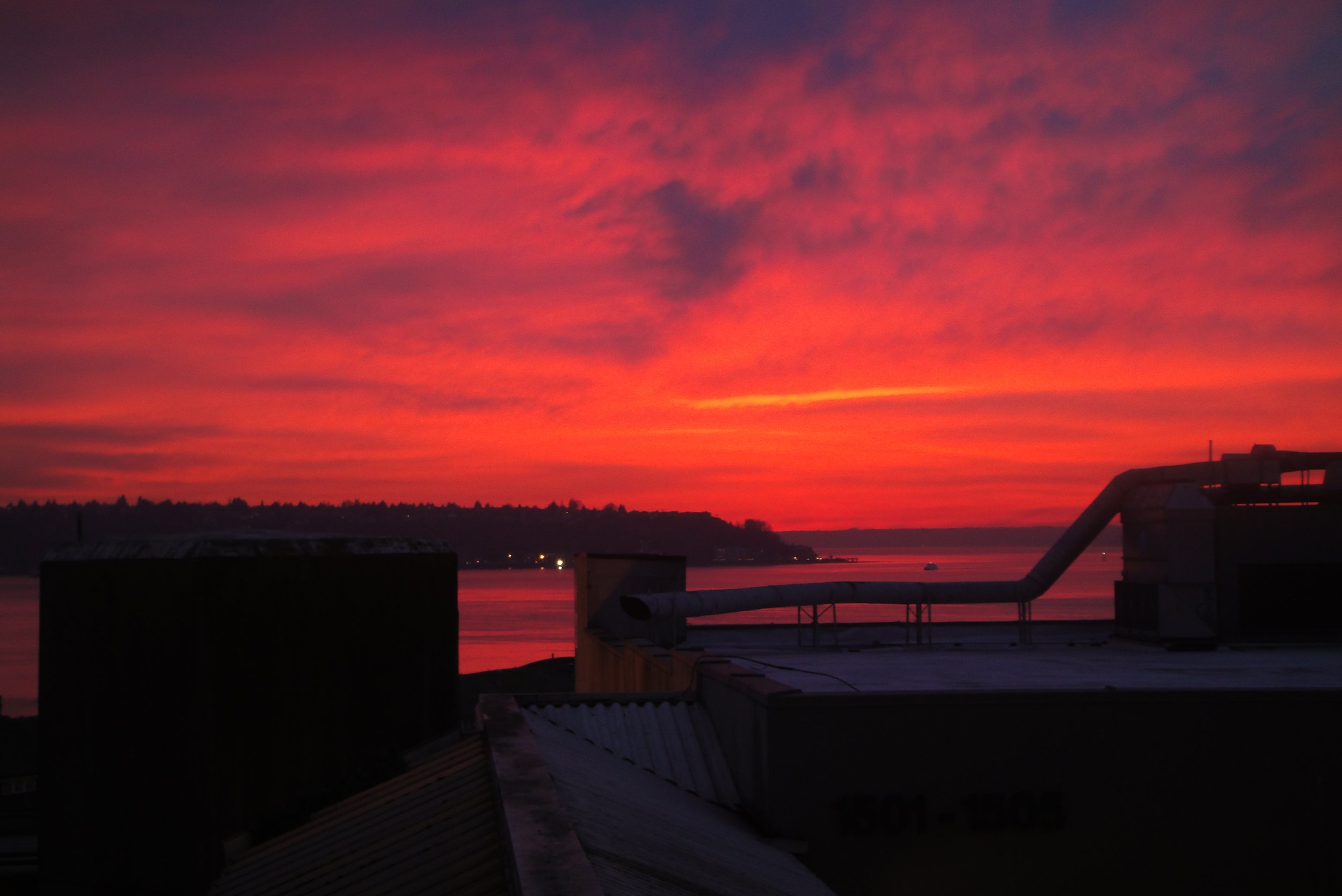 2011 015.jpg