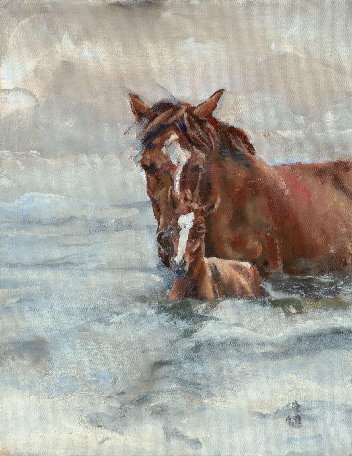 Salt River 14" x 18"