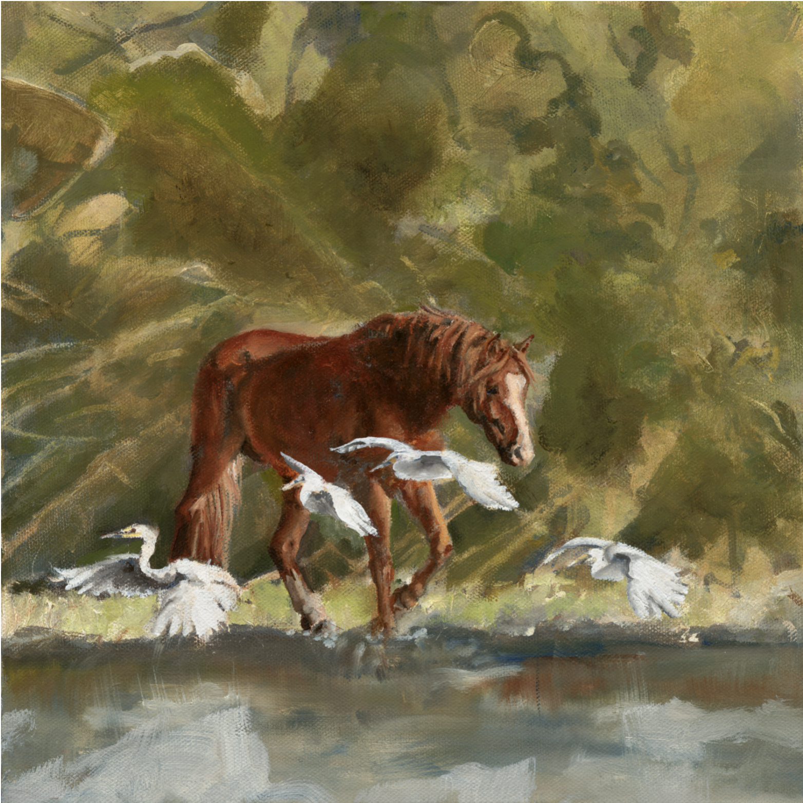 Egrets 12" x 12"