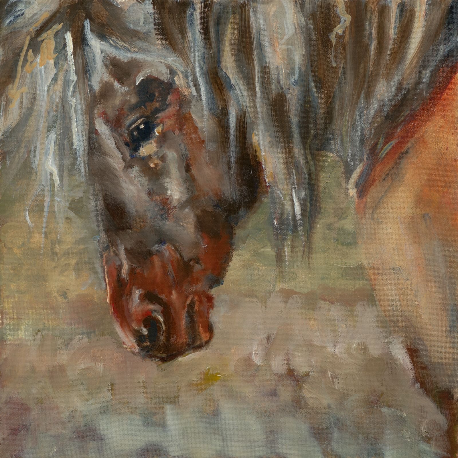 Feidla 12" x 12"