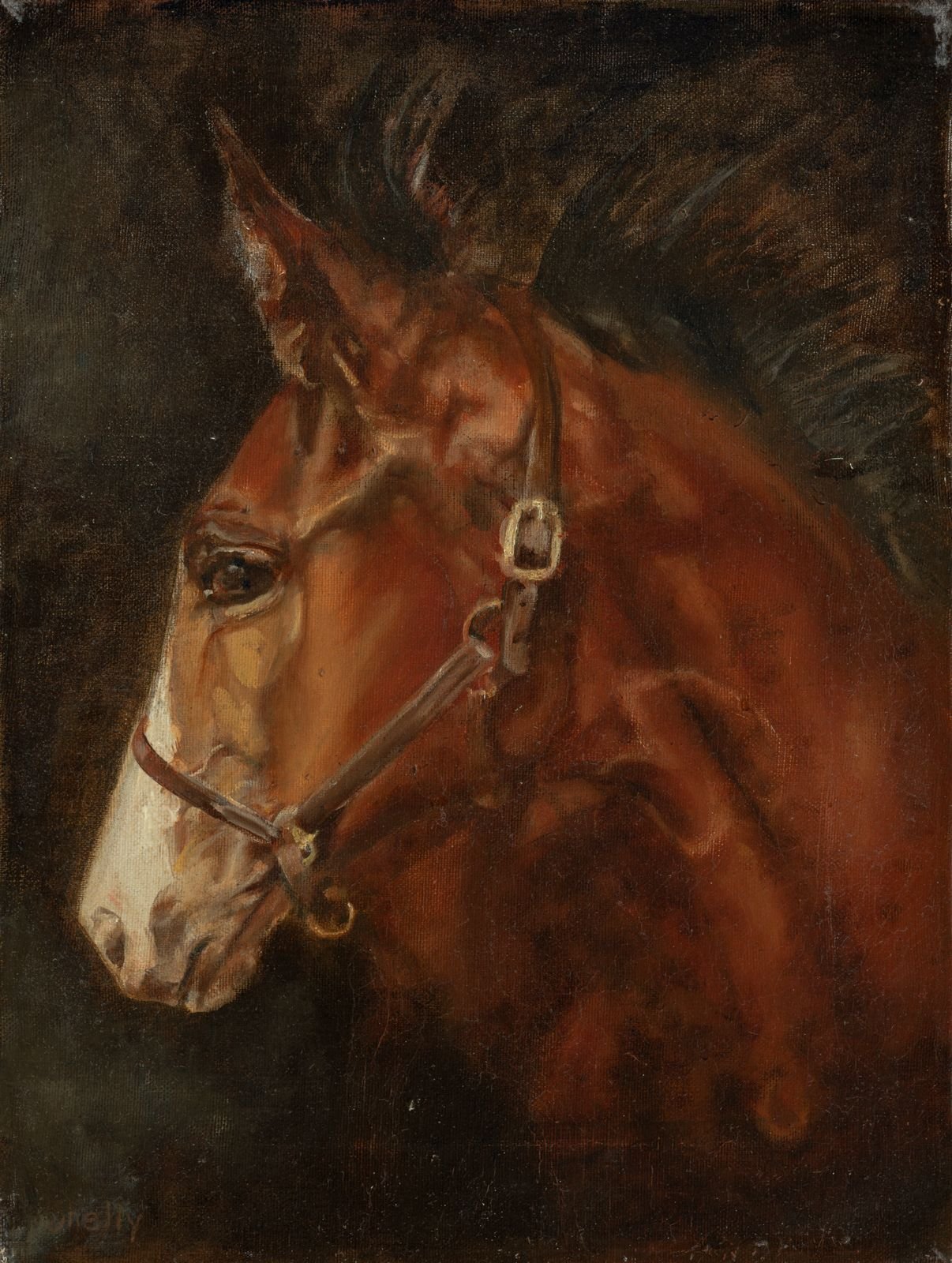 Pippin 12" x 16"