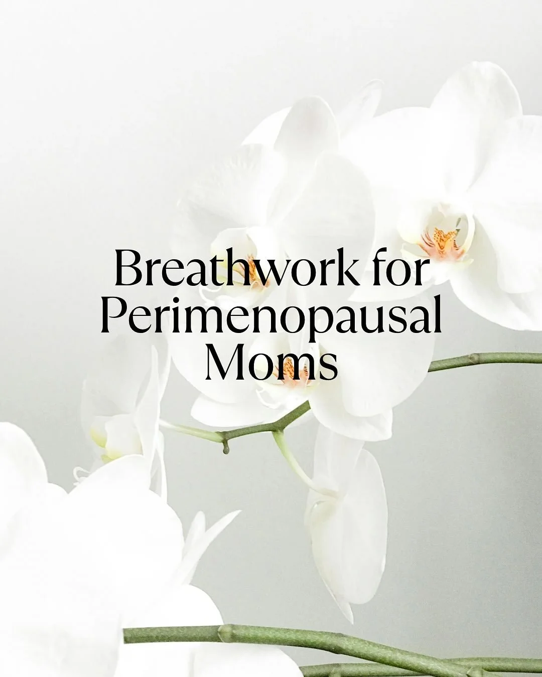 Everyone tells you to &ldquo;just breathe &ldquo;but nobody explains WHY it actually works.

This is the science behind the only tool that&rsquo;s actually helped me regulate when my team pushes every button in my hormones are screaming .

Swipe for 