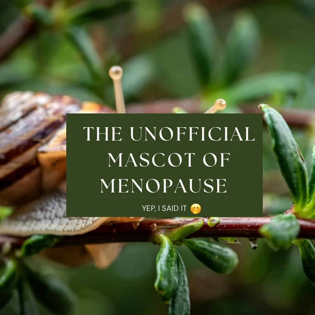 Plot twist: Slugs have been the menopause spirit animal all along and nobody told us. 🐌✨

If you&rsquo;re in perimenopause or menopause and your body is literally making you slow down, forcing you to feel instead of fix, and breaking every hustle pa