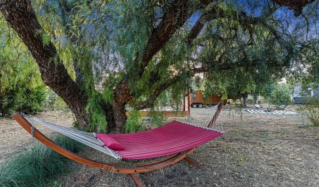 Tree.png