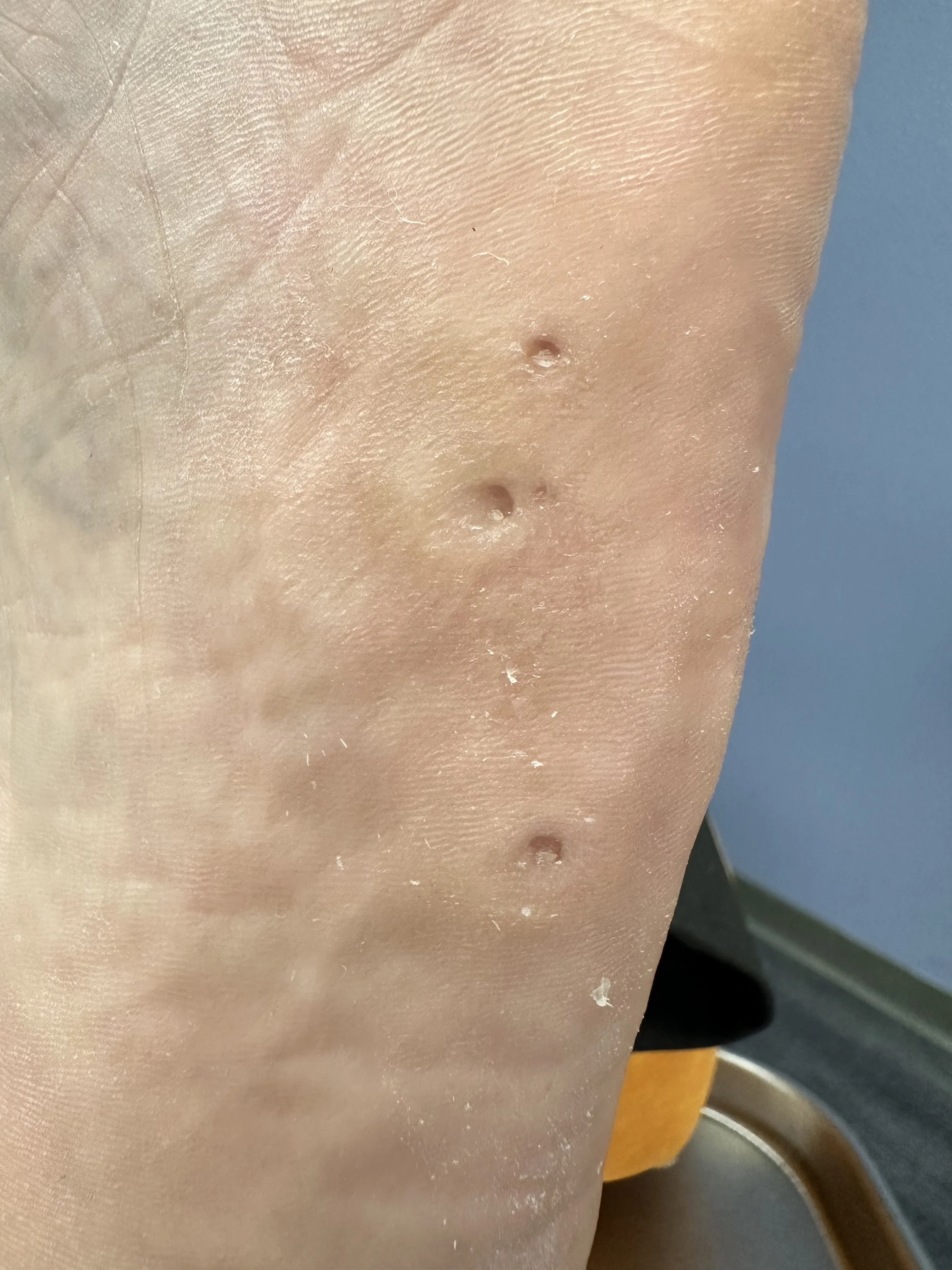 VALERI B_2743 2.jpeg