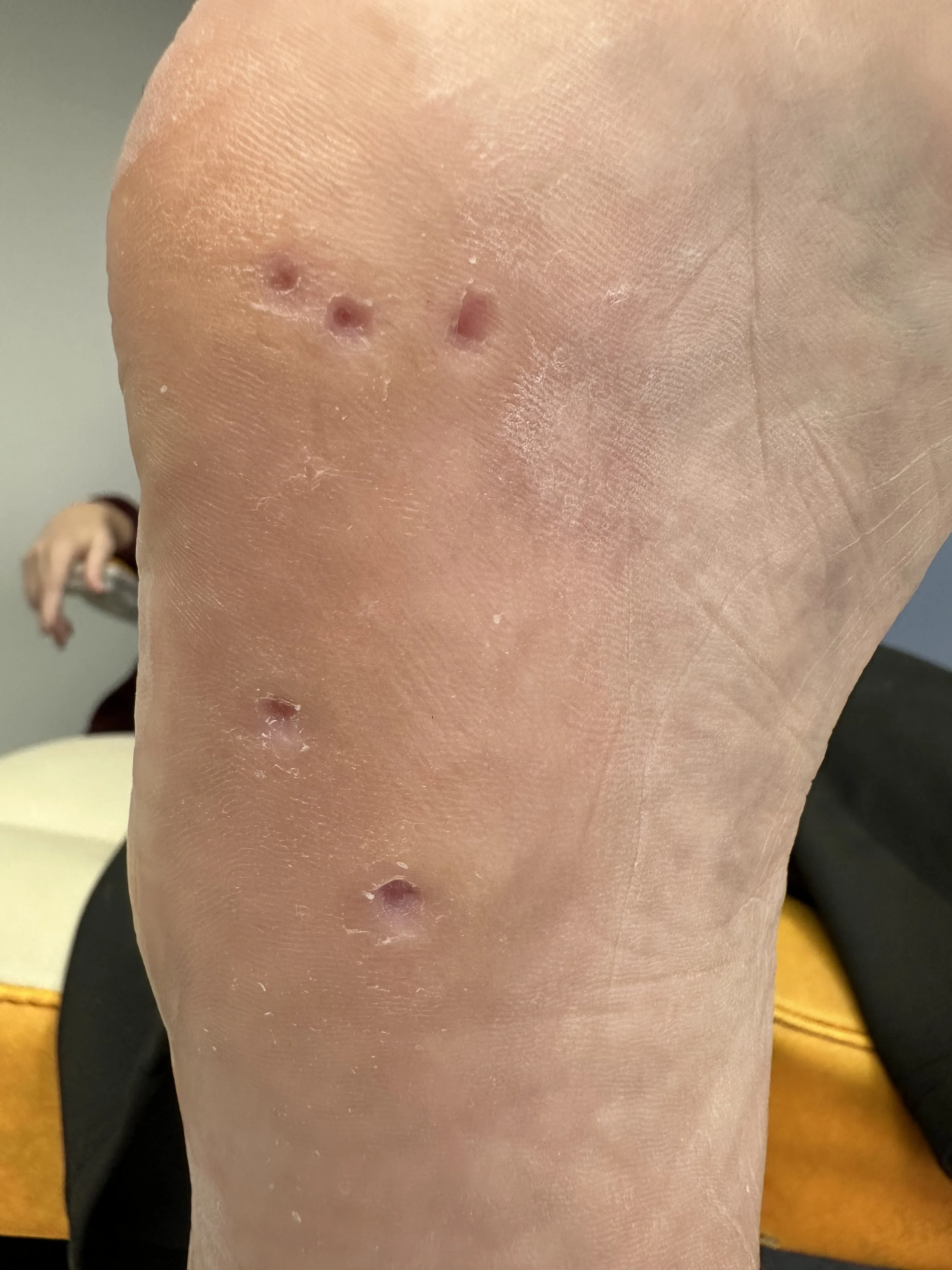 VALERI B_2742 2.jpeg