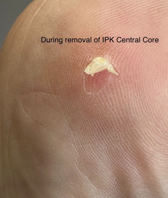 Screenshot 2026-04-28 at 6.55.29 PM.png