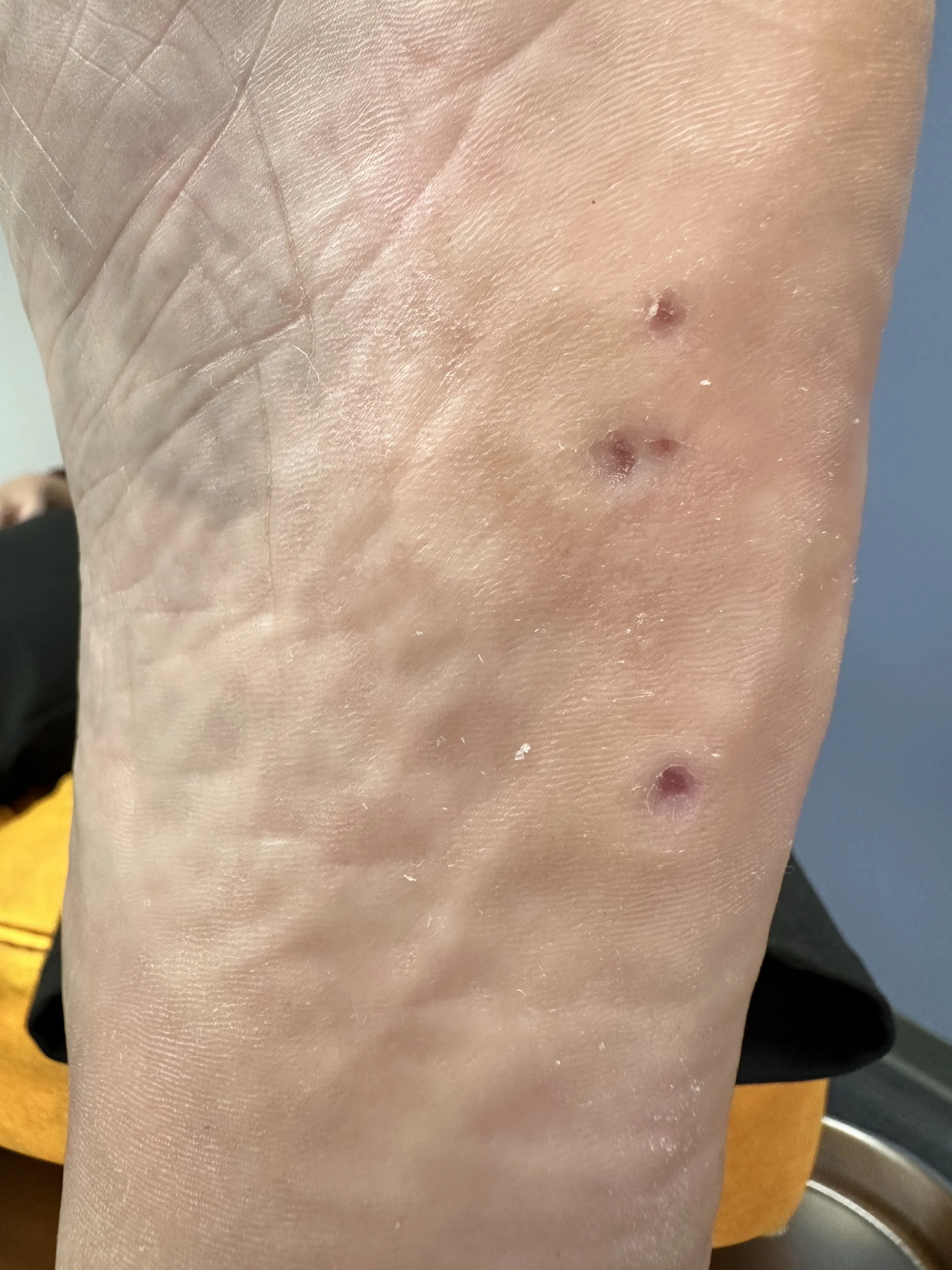 VALERI B_2744 2.jpeg