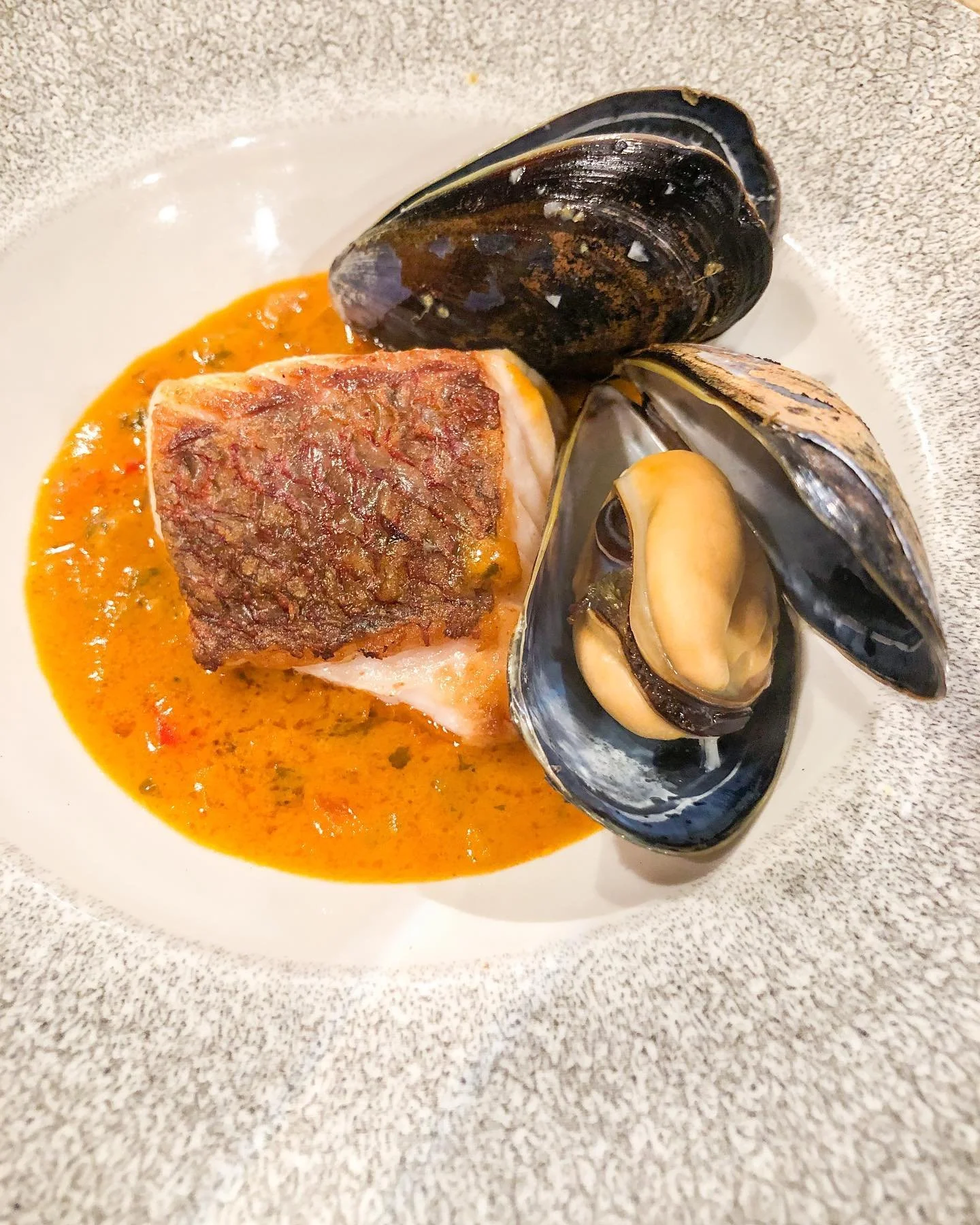 Seafood dish with cooked mussels, fish filet in sauce, served on a plate.