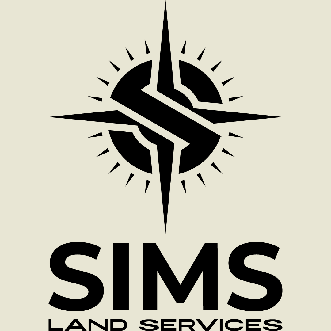 Sims (1).png