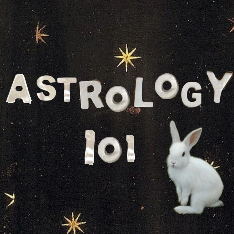 Astrology 101: The 12 Houses