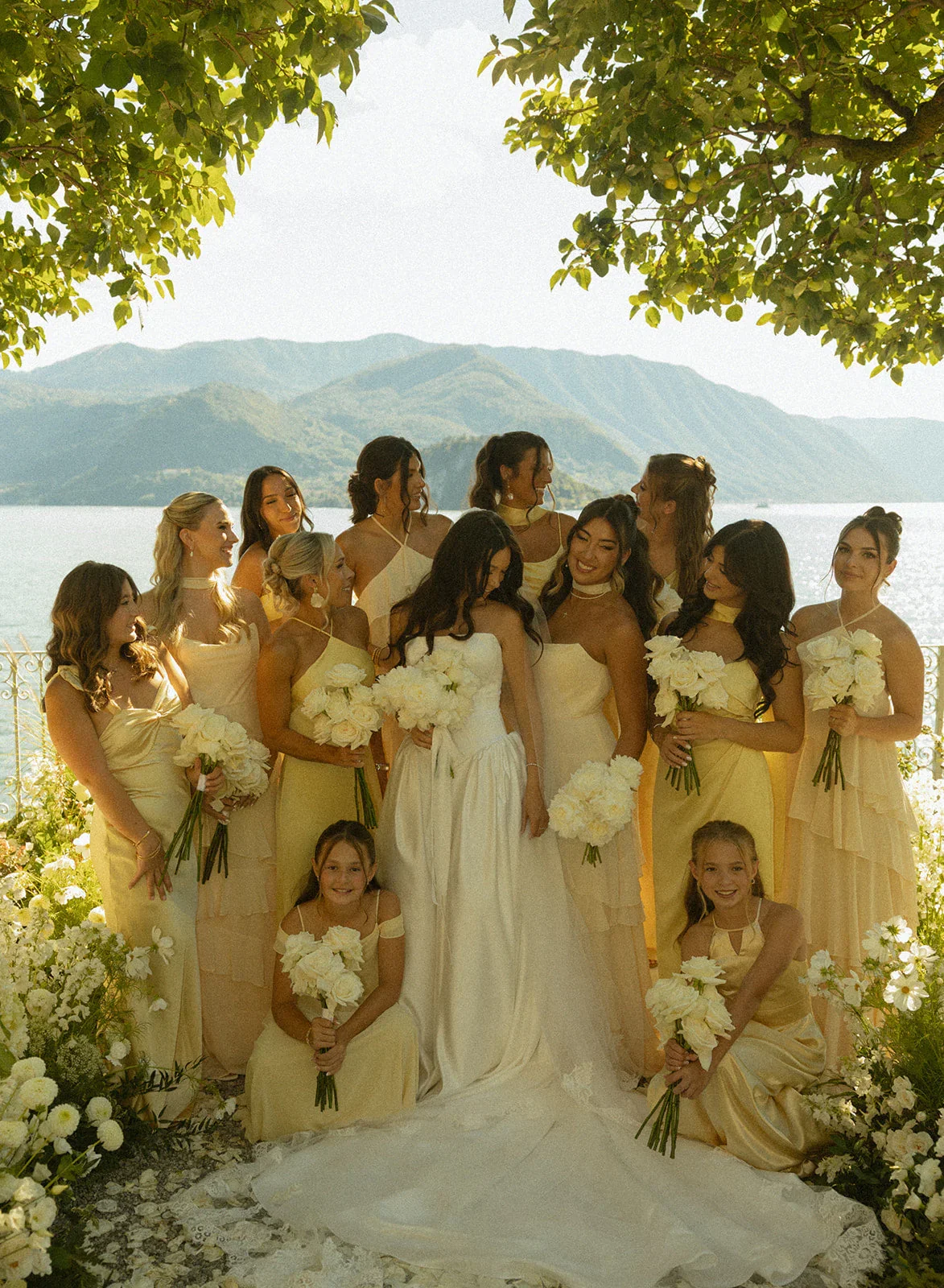 Daffodil_Maids6378_4c741577-8bc6-4db7-aa23-1c6748e5bc27.webp