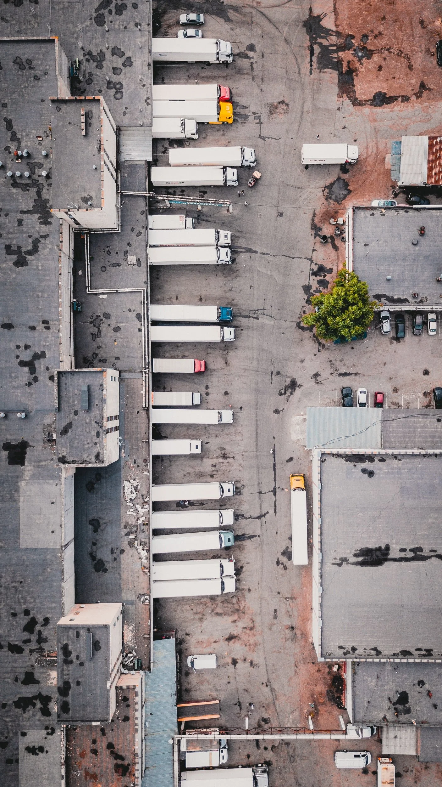unsplash-image-N_FDXbXwQmc.jpg