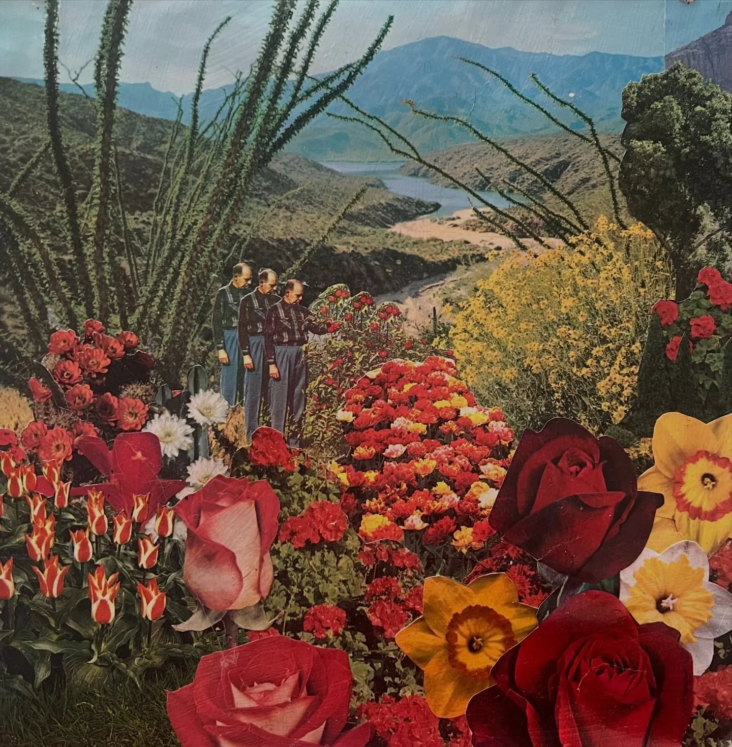 Collage Night is tonight! 6-8 pm :) 

We&rsquo;ll have lots of vintage magazines and bits and bobs to use, glue and paper! Just bring yourself. And it&rsquo;s free! 

If you can&rsquo;t make it this month it&rsquo;ll be back Feb 12th as well!

#roses