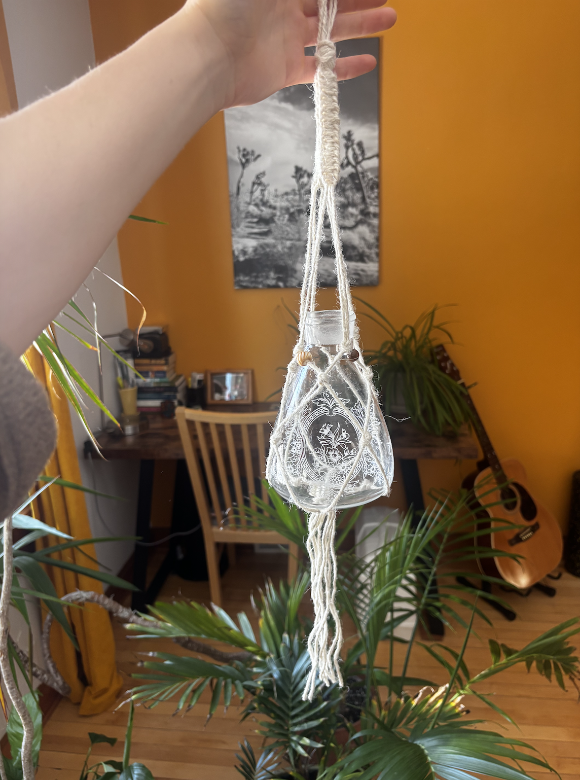 Macramé Plant hanger craft club