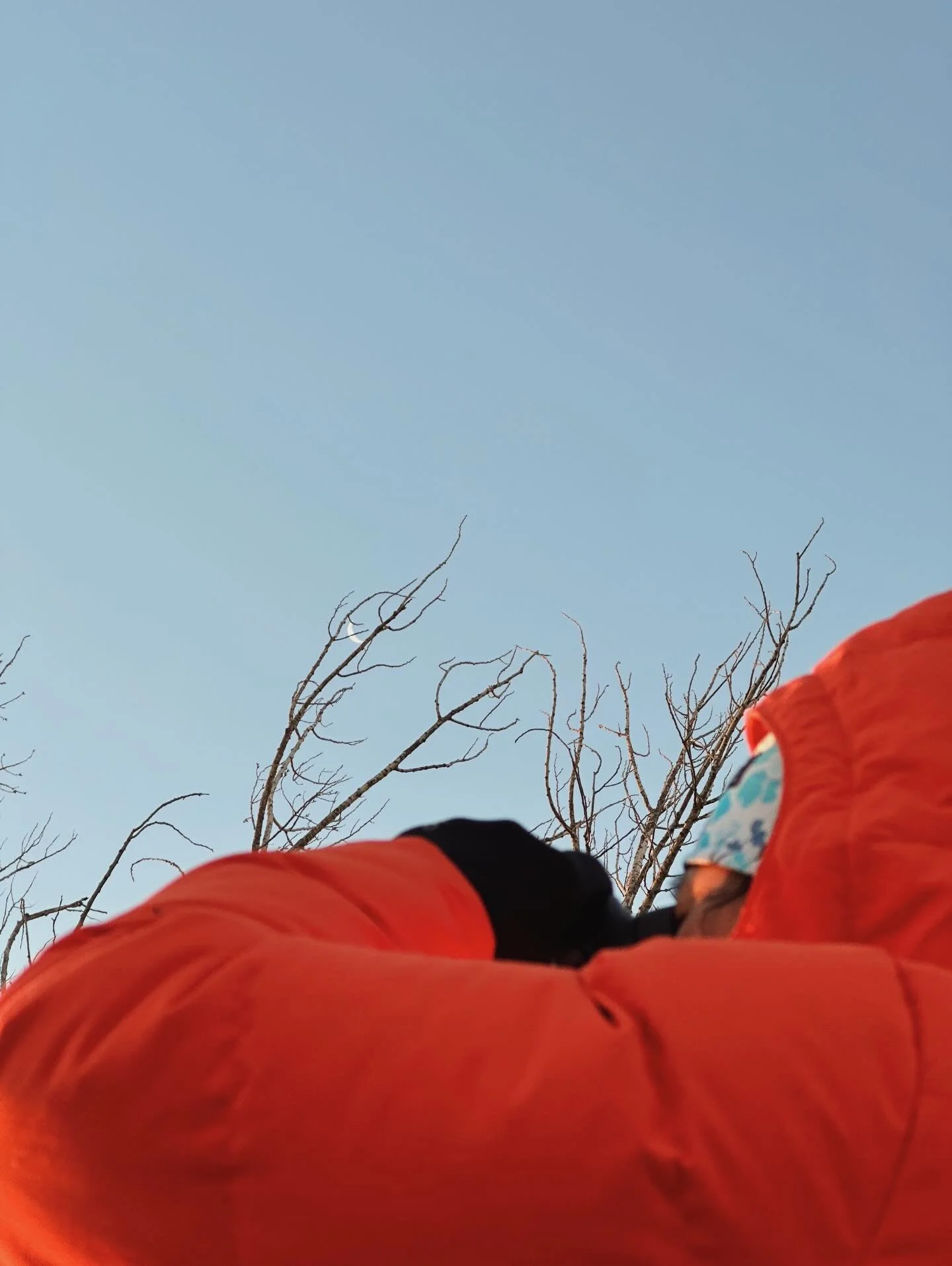 a heavy and yet still beautiful year, as told by my camera roll