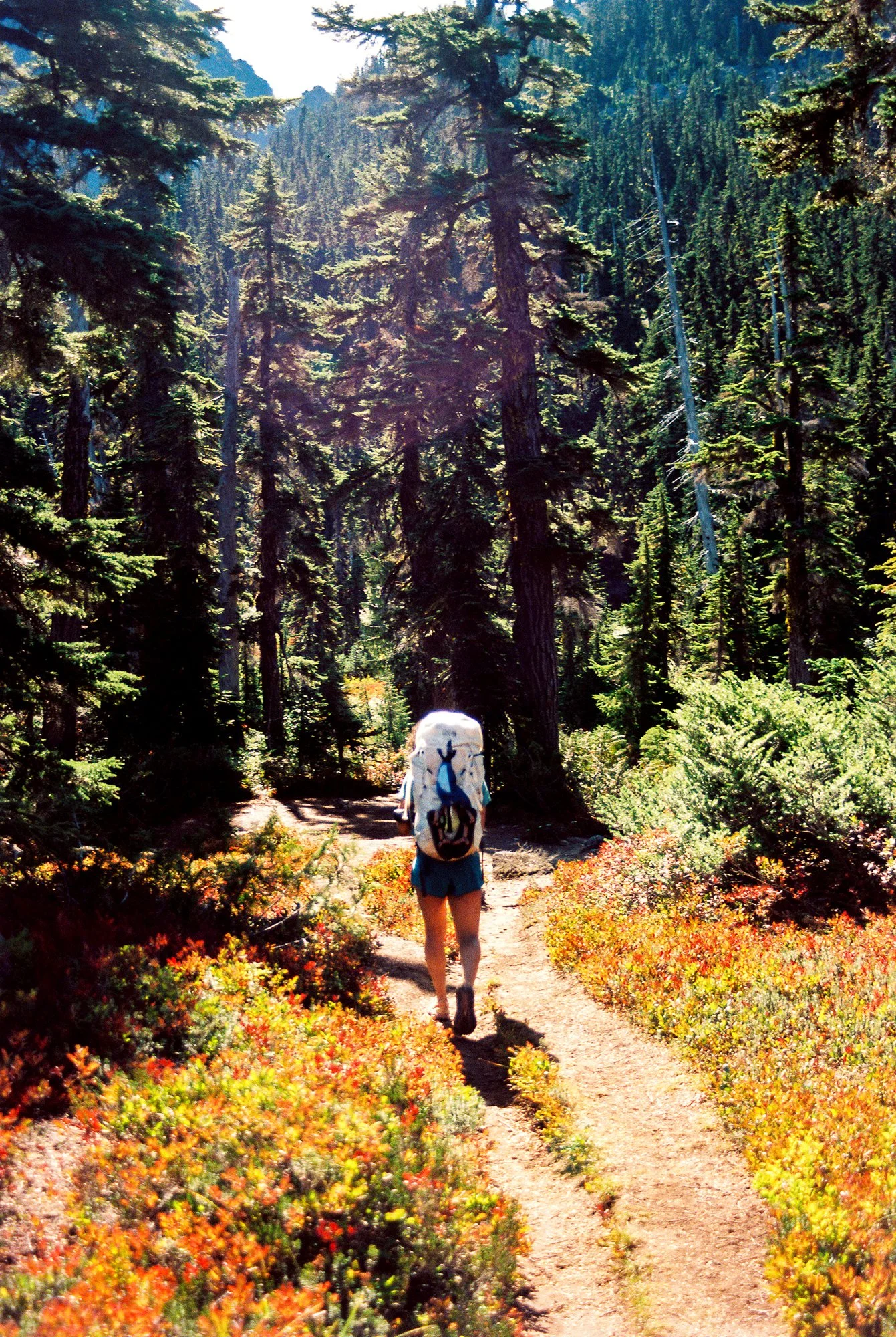 ElodieThelliez-Washington-22.jpg