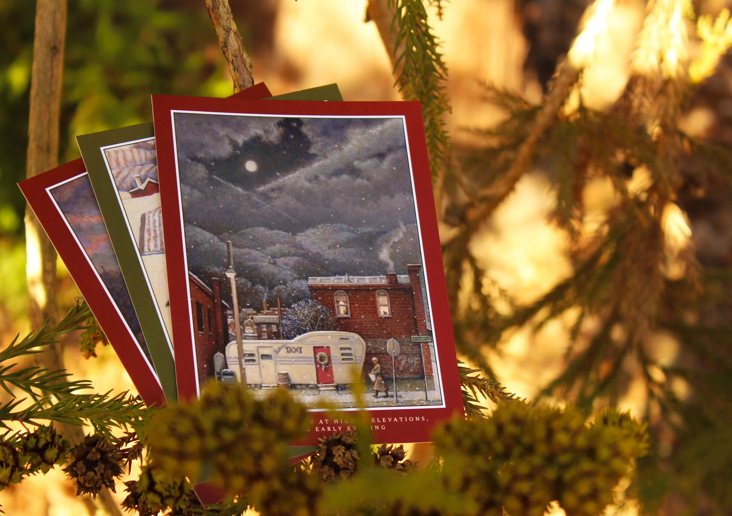 Postcard Resting.jpg