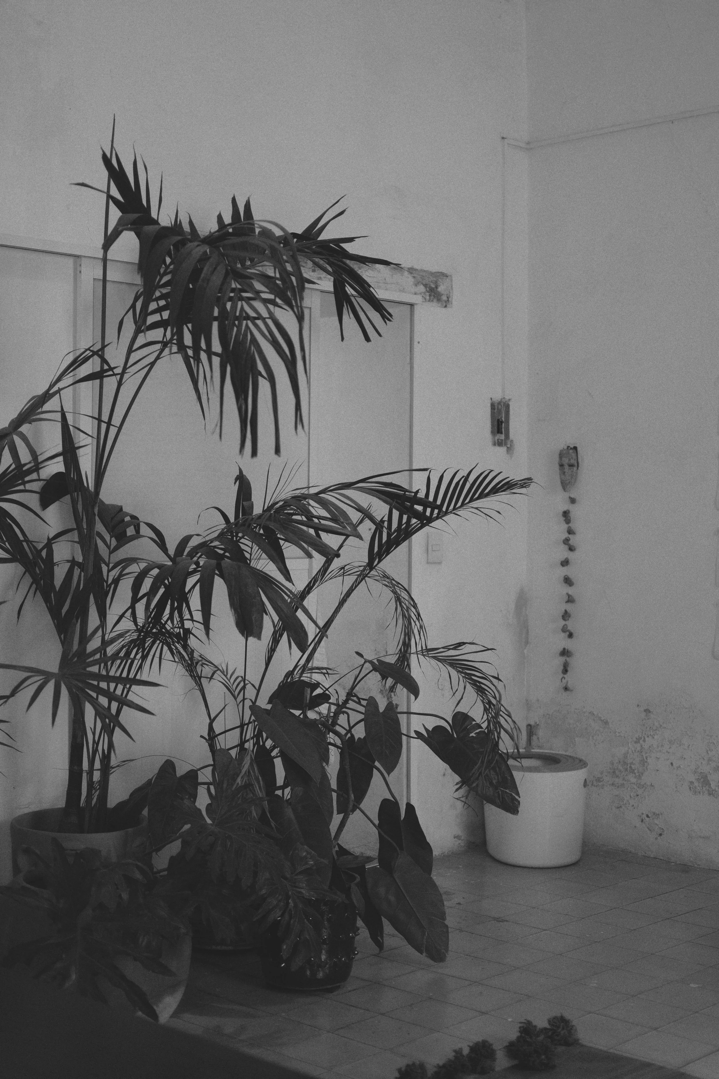 DSCF3827BW.jpg