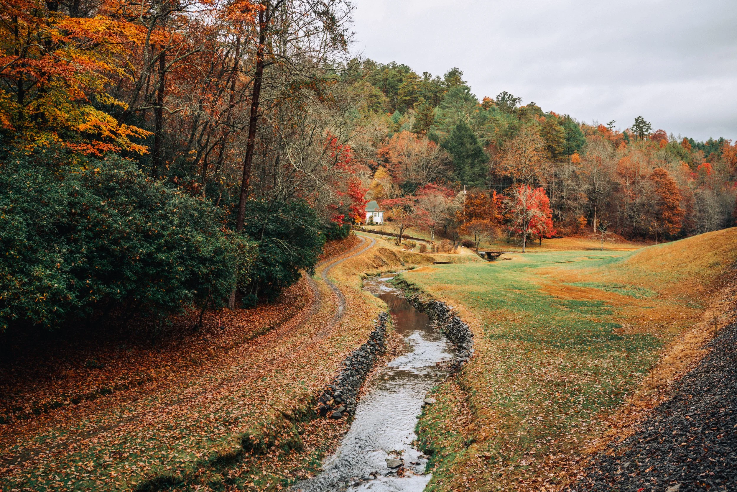 Blue Ridge Creek