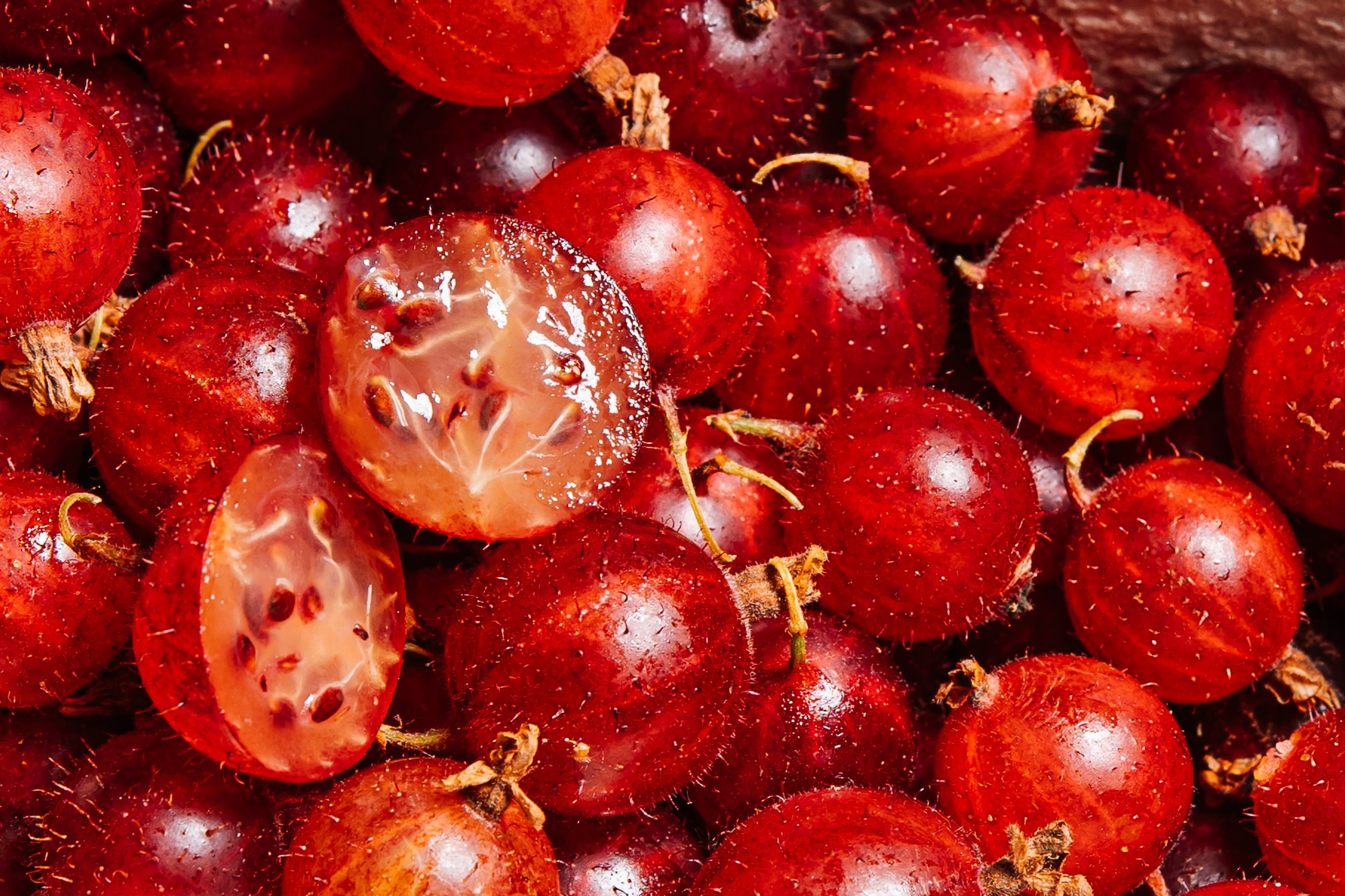 Wild slides-24 copy.jpg