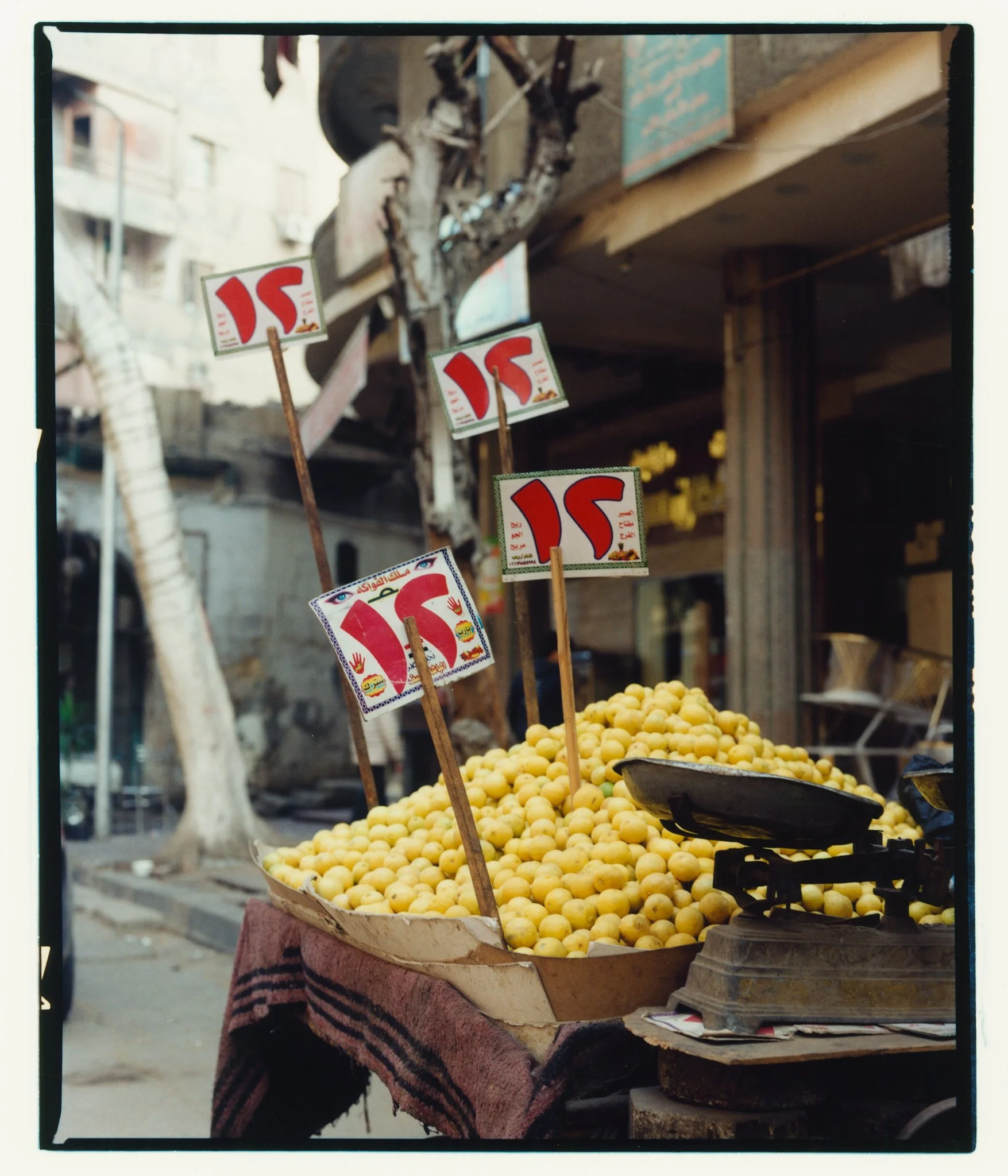 ليمون بلدي limon baladi