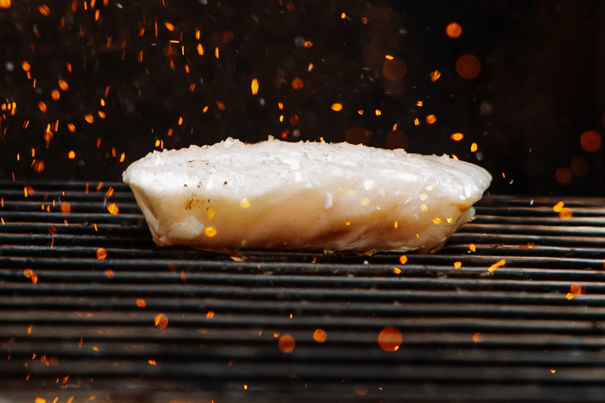 Wild slides-07 copy.jpg