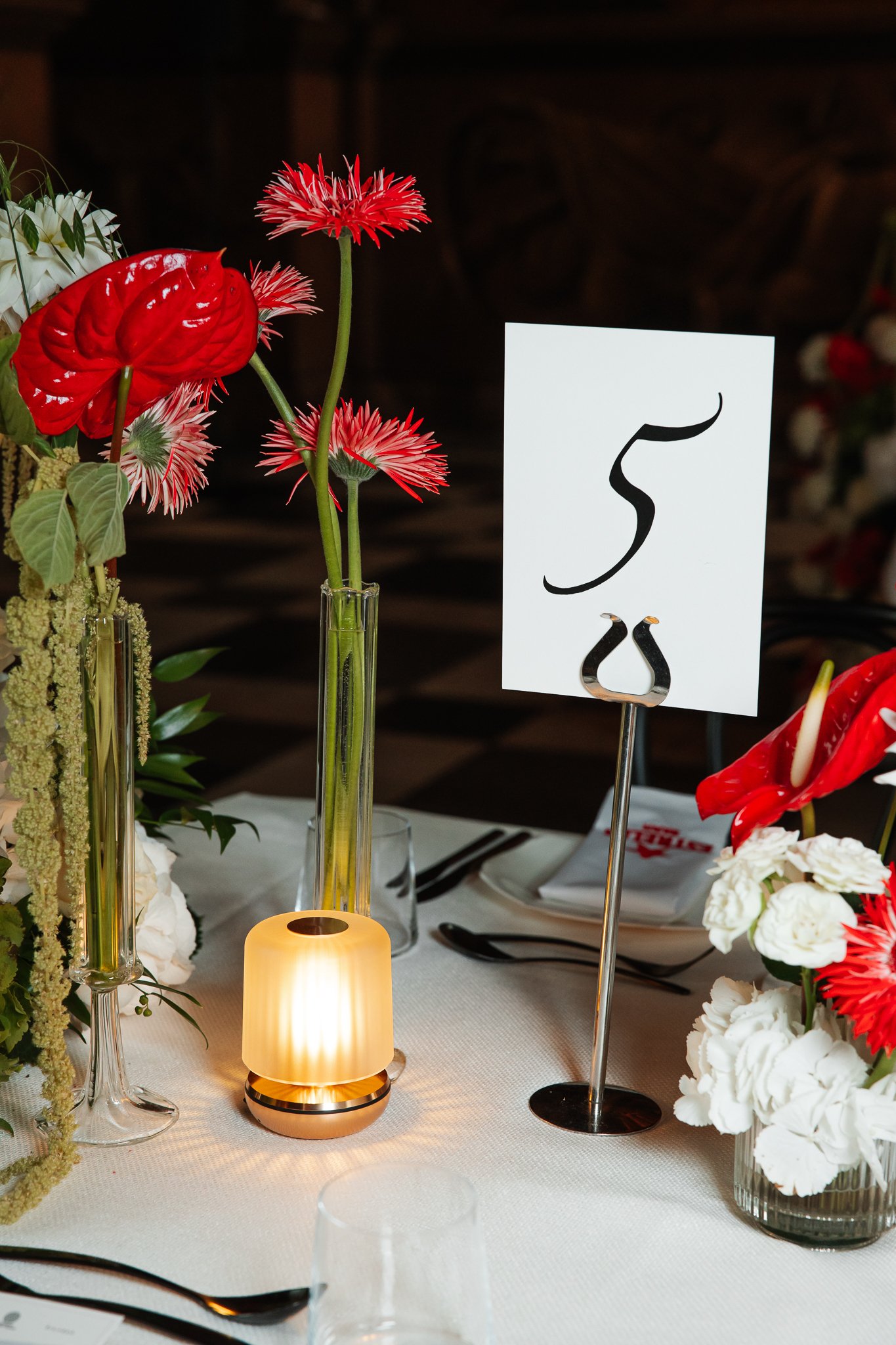 Estrella Suite-03.jpg