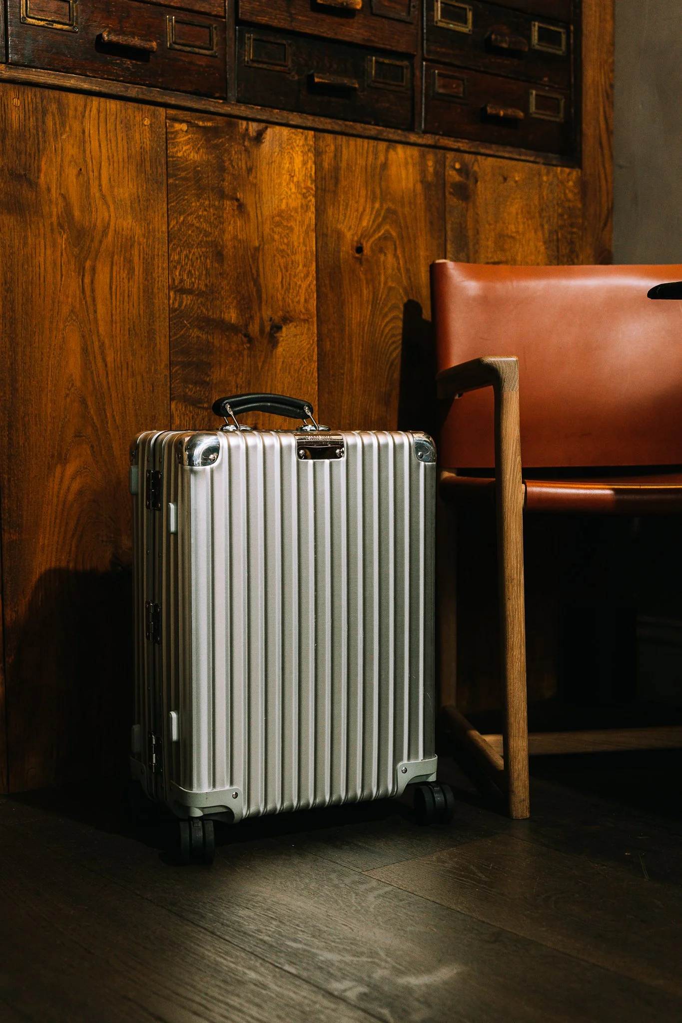 Bull 18 Aug-066 copy.jpg