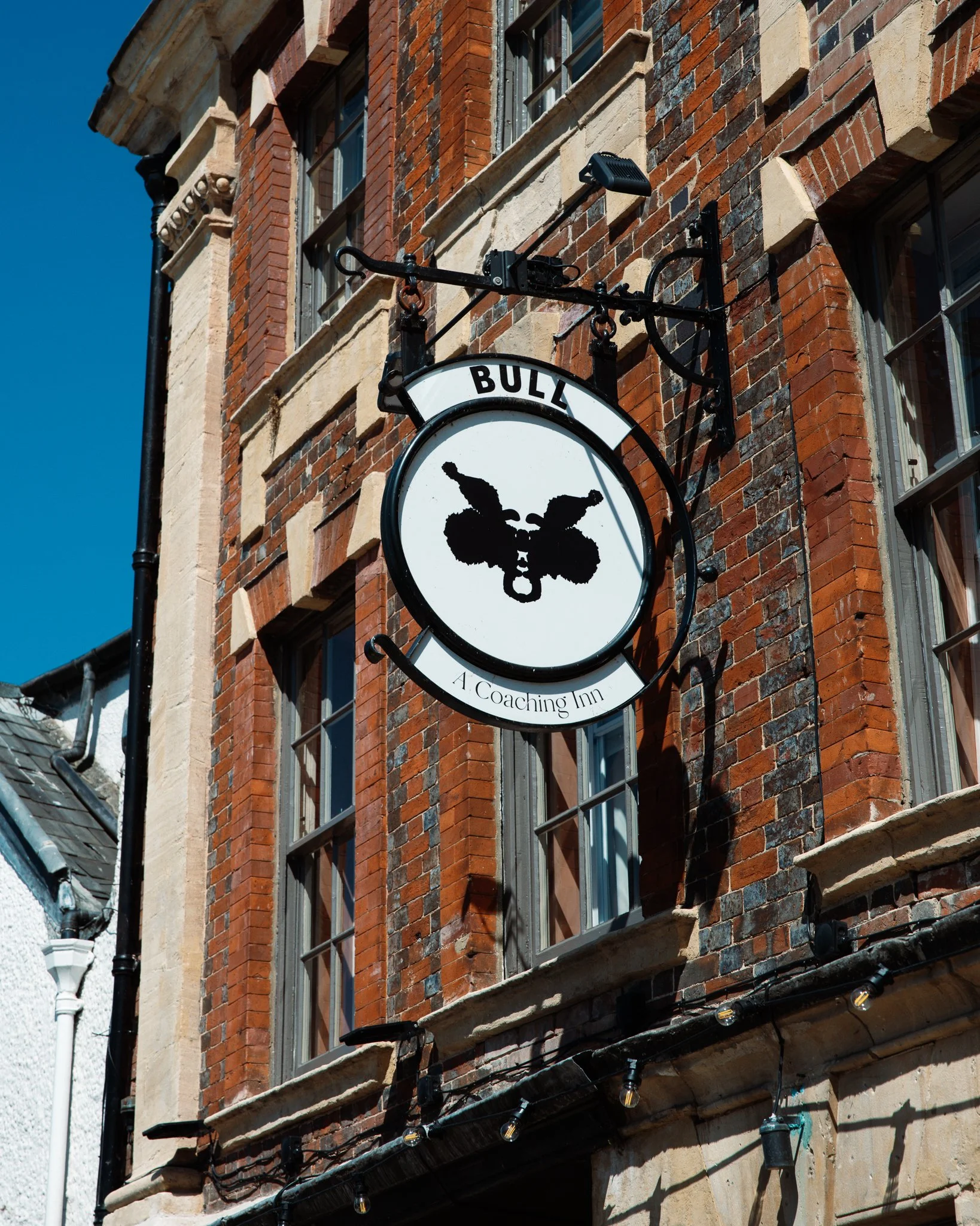 BULL_Extras-21 copy.jpg