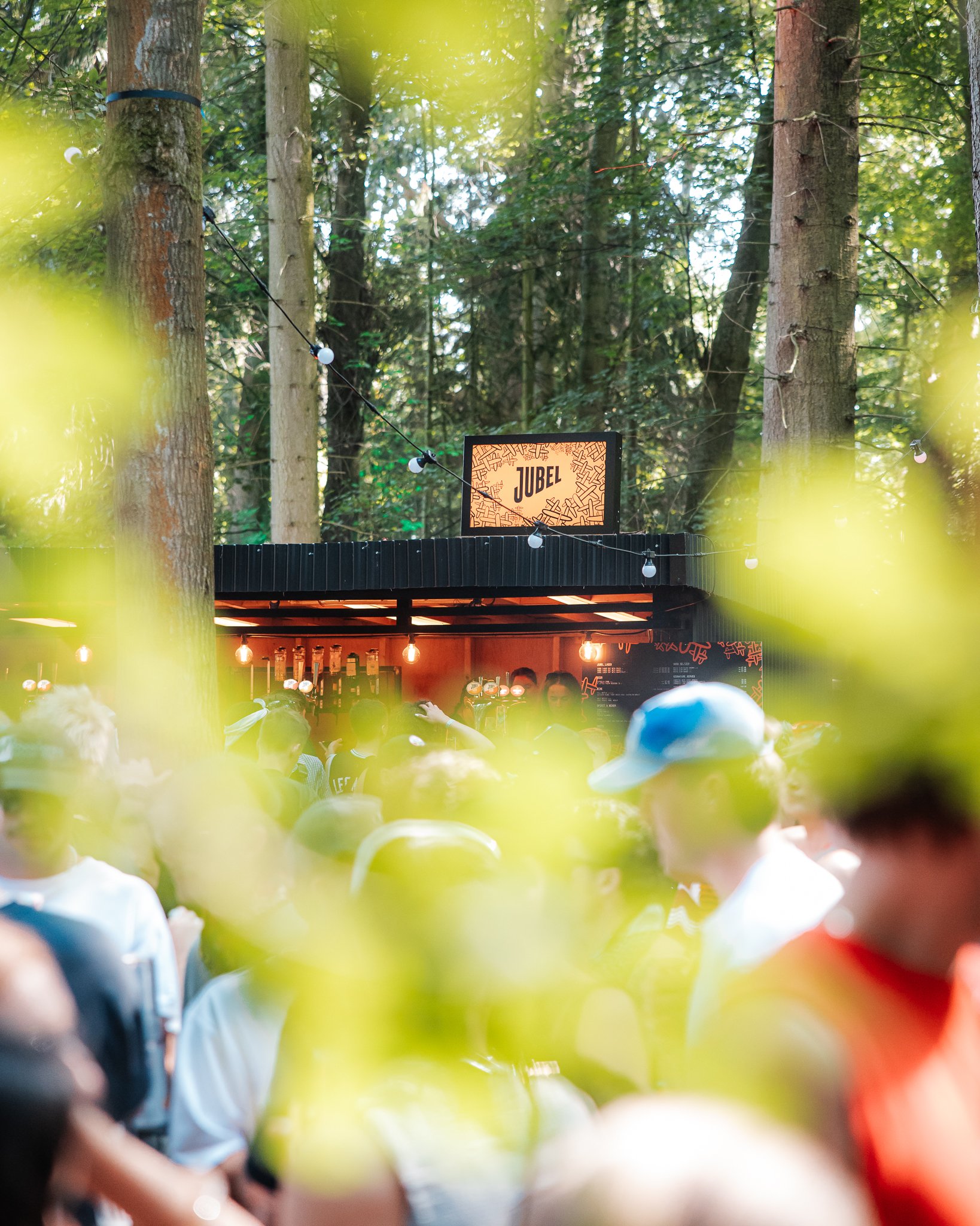 Houghton Festival - Brand Partnerships