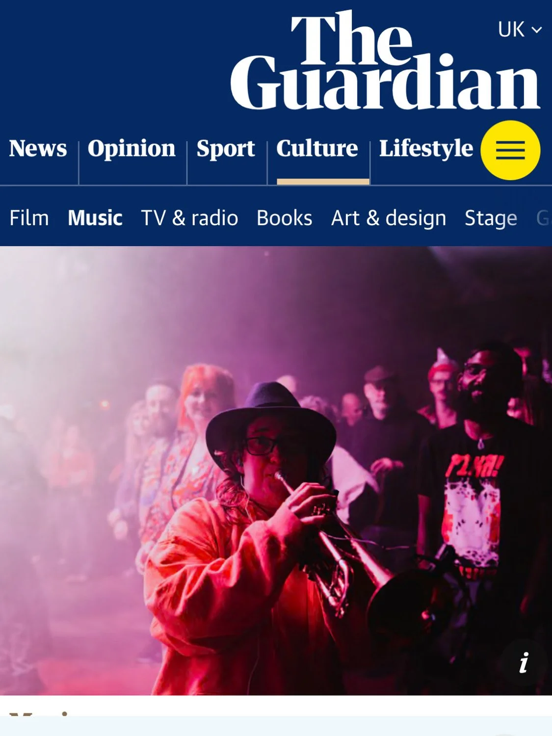 a screenshot of the guardian webpage with a photo of Robyn Rocket on it.